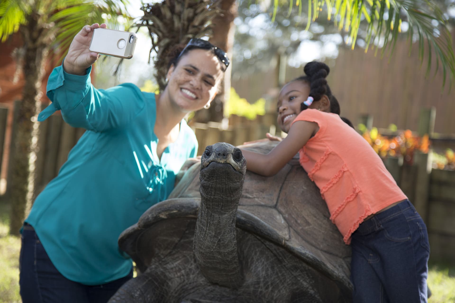 Go City Orlando All-Inclusive Pass: Save up to 50% on Attractions - imagen 38
