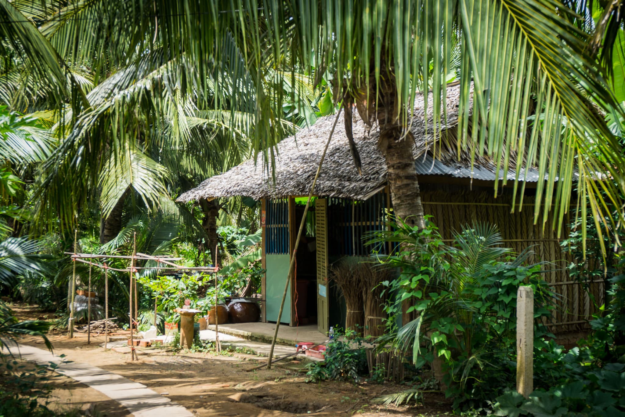 Mekong Delta Full-Day Tour from Ho Chi Minh City - image 4