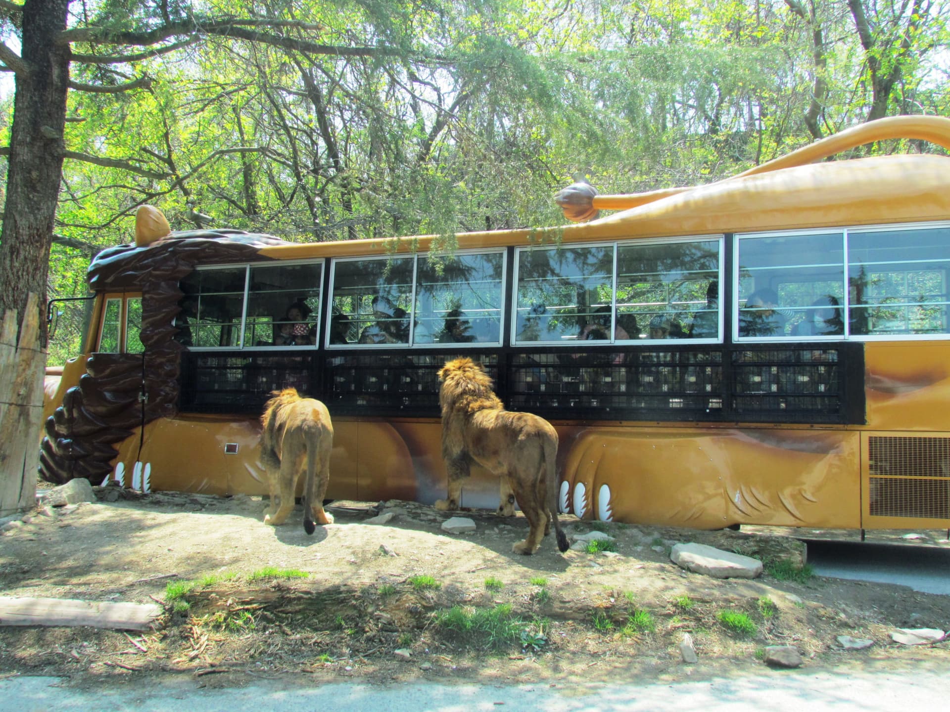 Gunma Safari Park Ticket - image 3