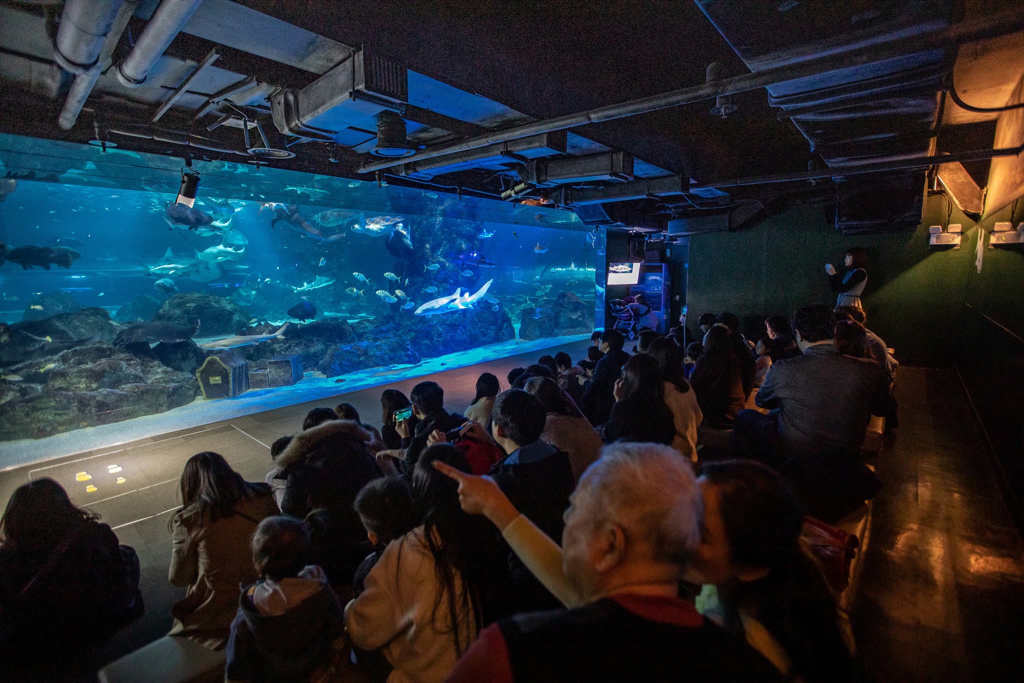SEA LIFE COEX, Seoul Aquarium Ticket - image 11