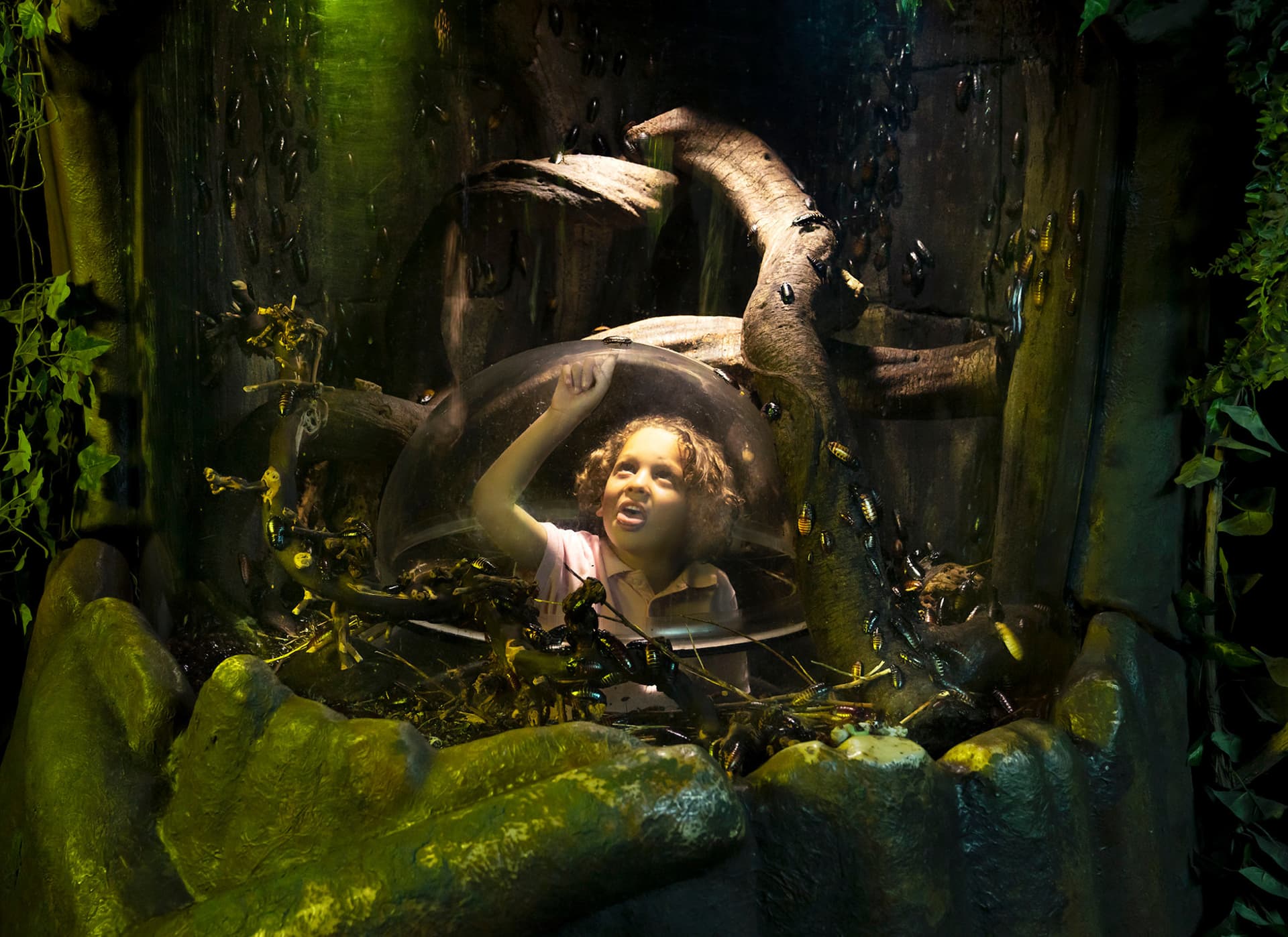 SEA LIFE London Aquarium Ticket - image 14