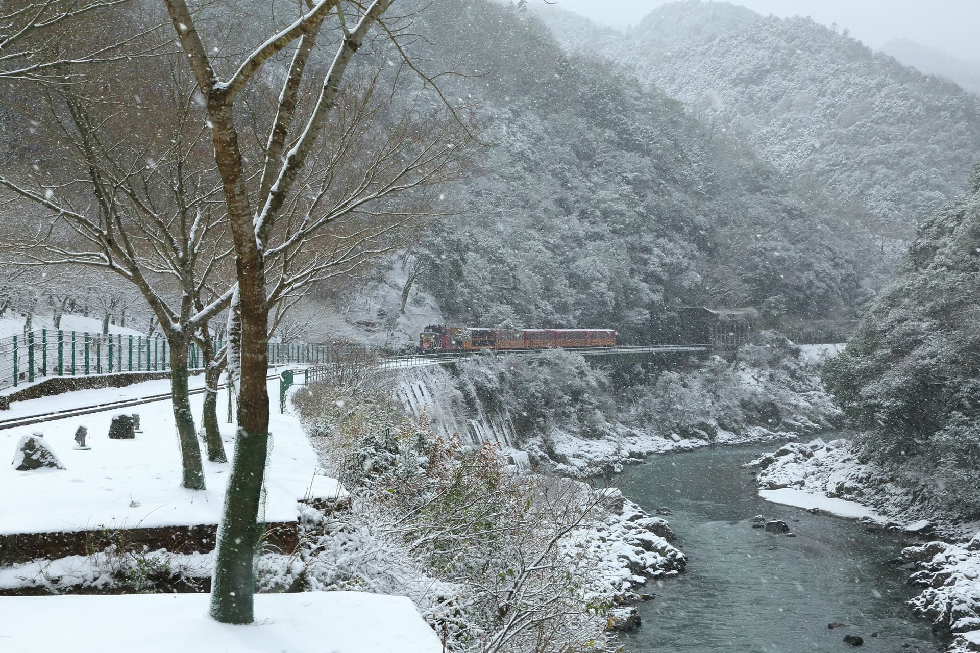 Tren Romántico de Sagano - imagen 26