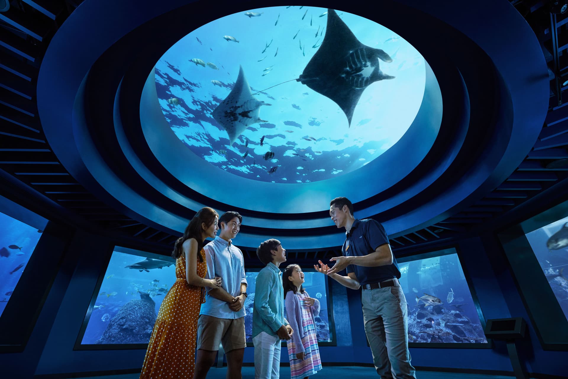 COMBO: Singapore Oceanarium + Albatross Hop-On Hop-Off Speedboat Tickets - imagen principal