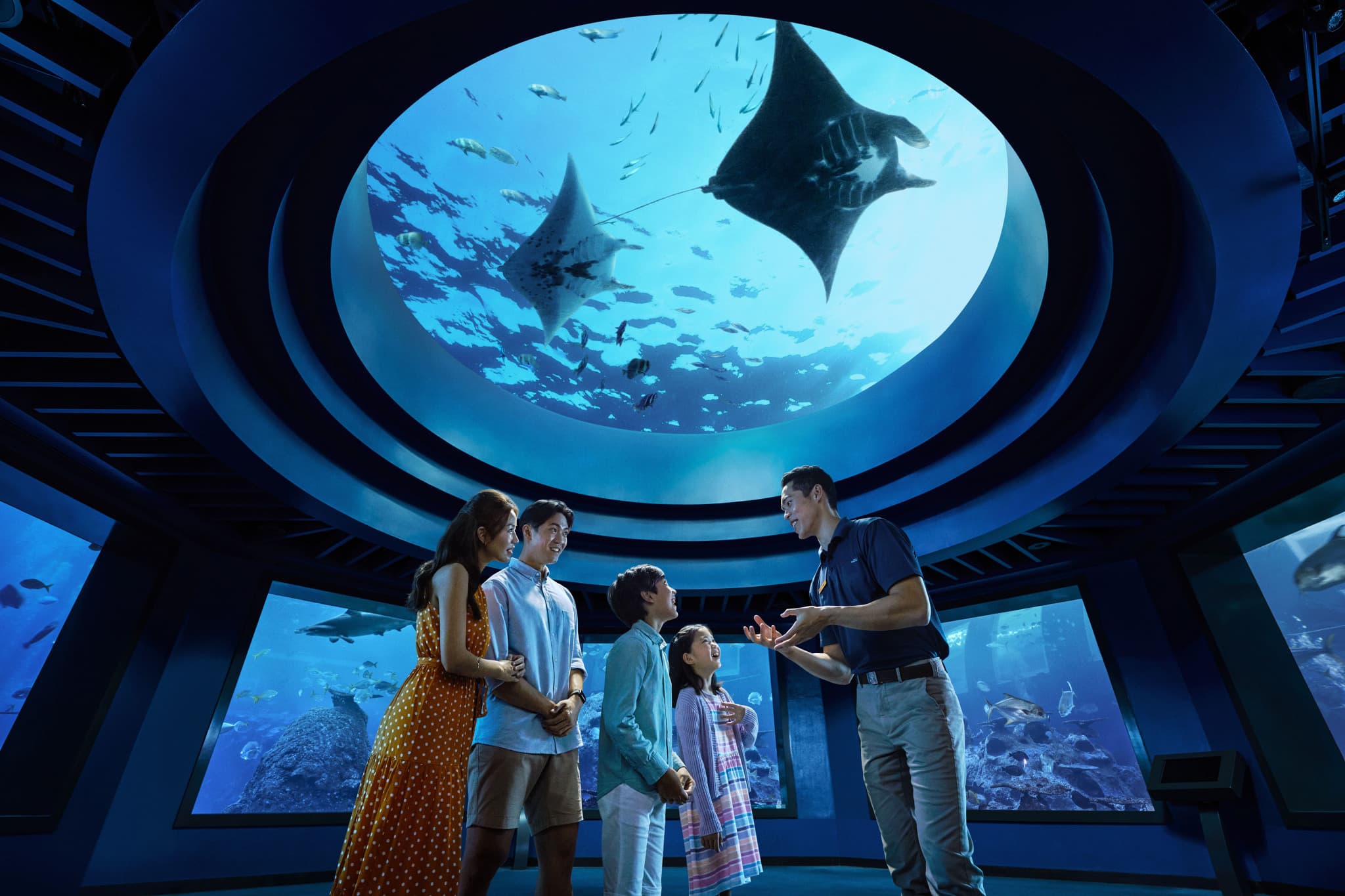 COMBO: Singapore Oceanarium + Albatross Hop-On Hop-Off Speedboat Tickets - main image