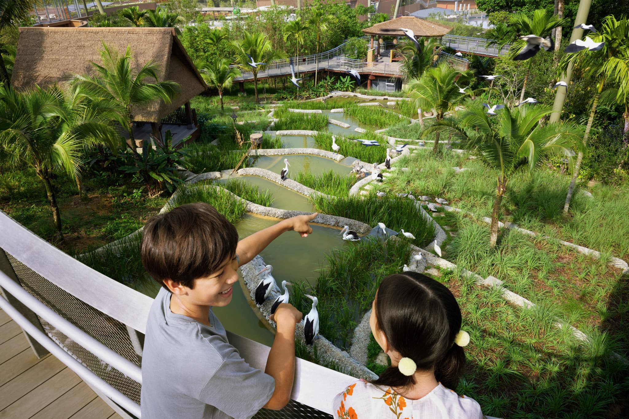COMBO: River Wonders + Bird Paradise Ticket - image 11