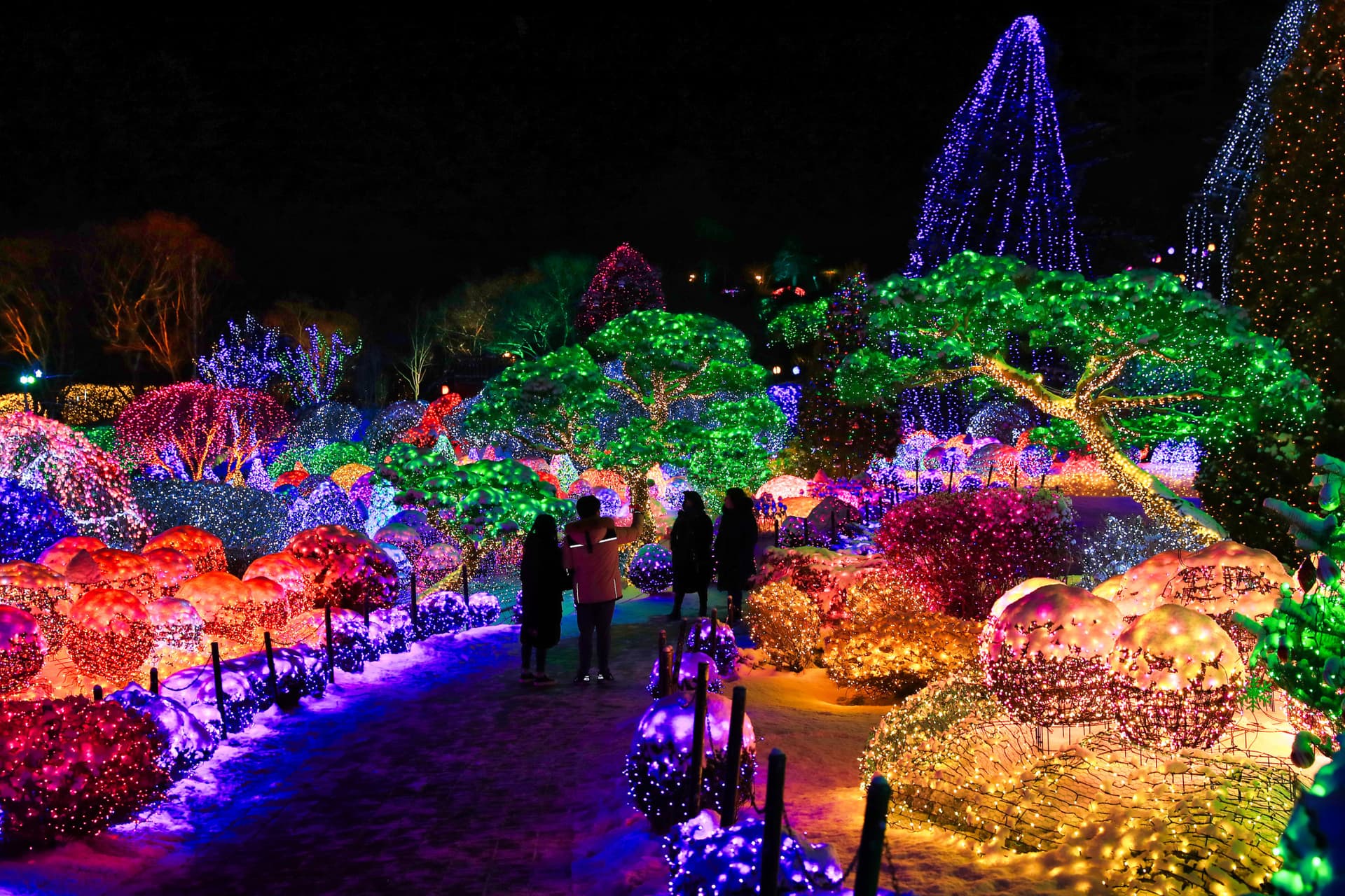 Nami Island, Mount Seorak, and Garden of Morning Calm Full-Day Tour from Seoul - 이미지 16