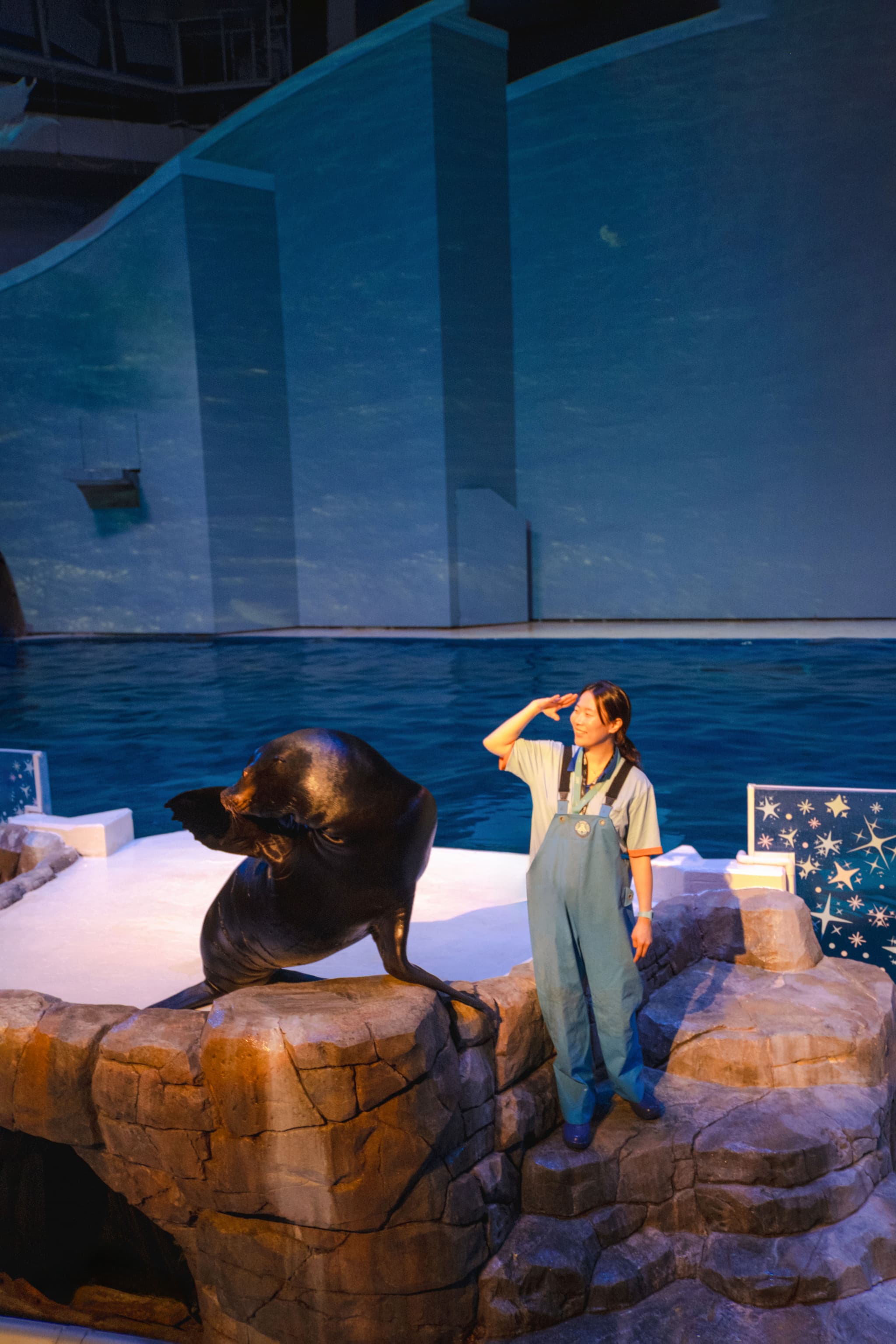Aqua Planet Jeju Aquarium Ticket - image 10
