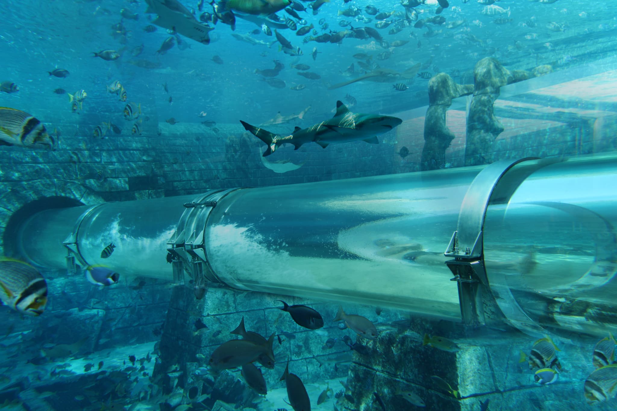 COMBO: IMG Worlds of Adventure with FREE Dubai Frame and Lost World Aquarium - image 9