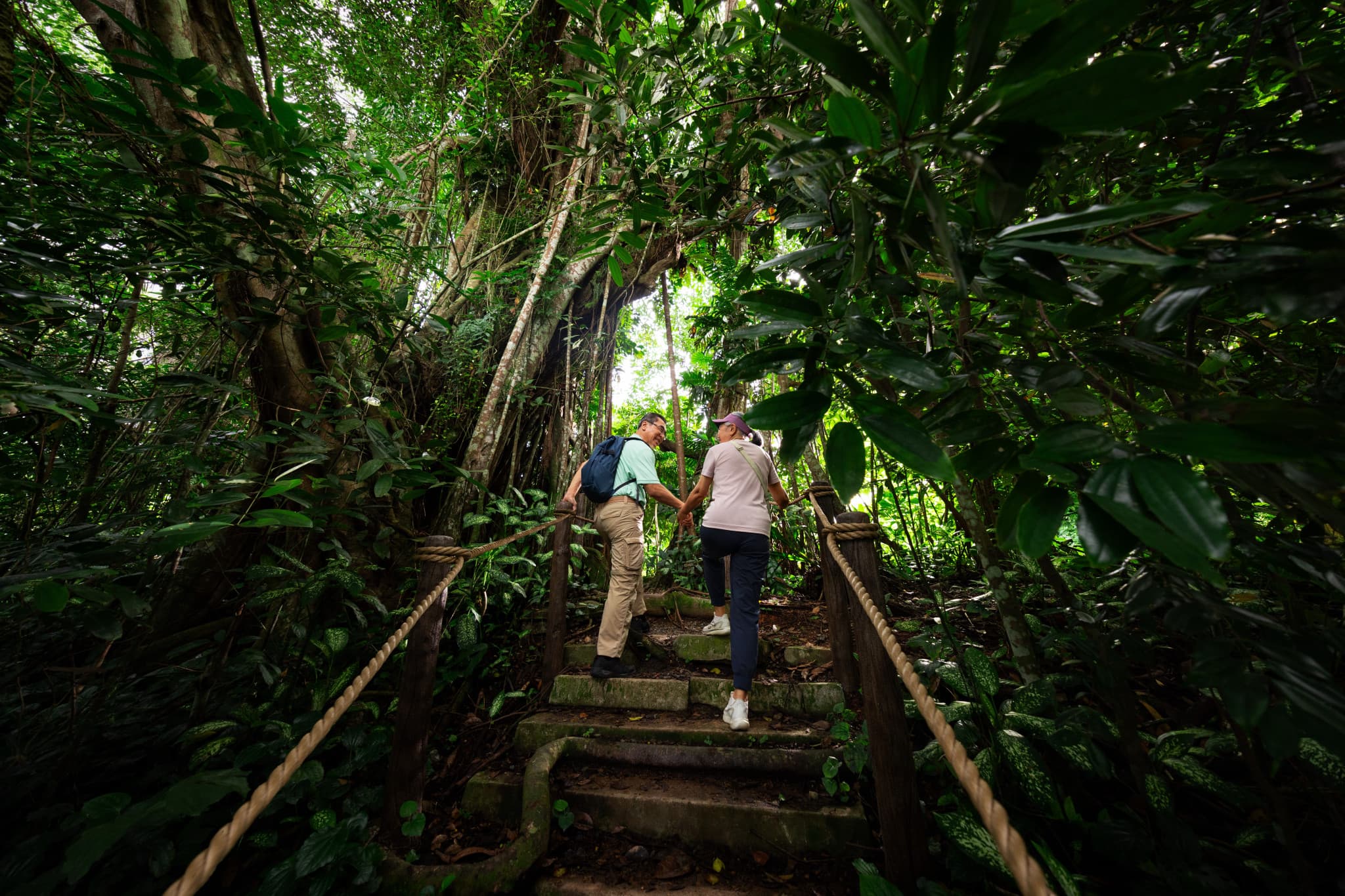 Mandai Destination Pass: Up to 2 Attractions in 1 Day - image 7