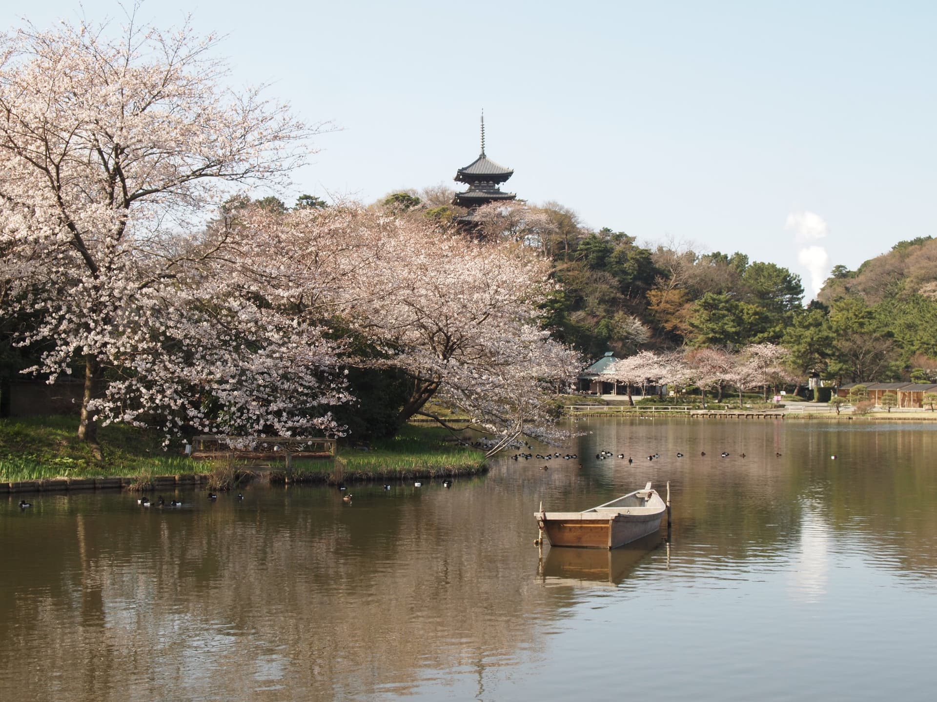 Sankeien Garden Ticket - image 9
