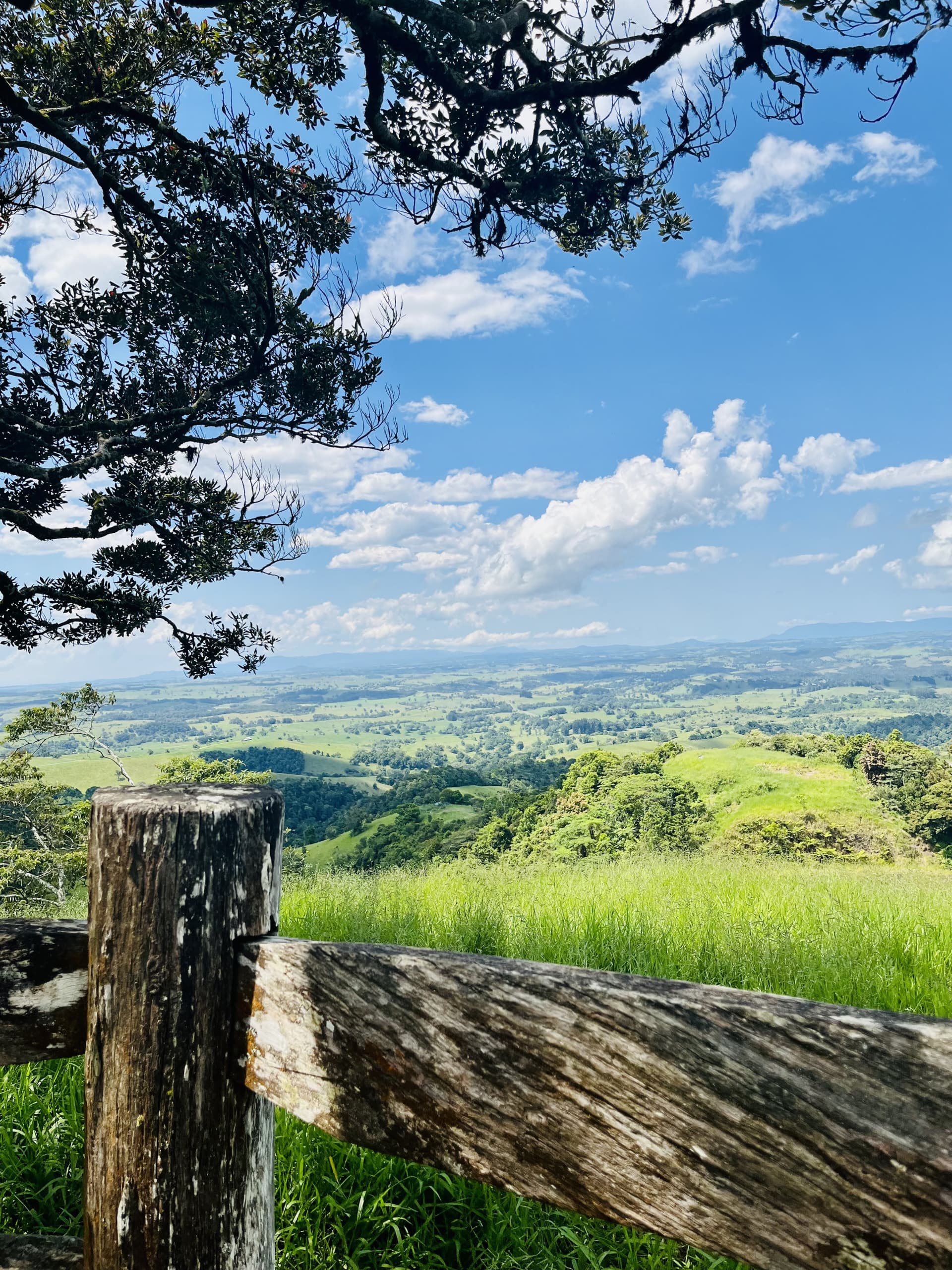Australian Outback Food and Wine Tasting Tour from Port Douglas - imagen 9