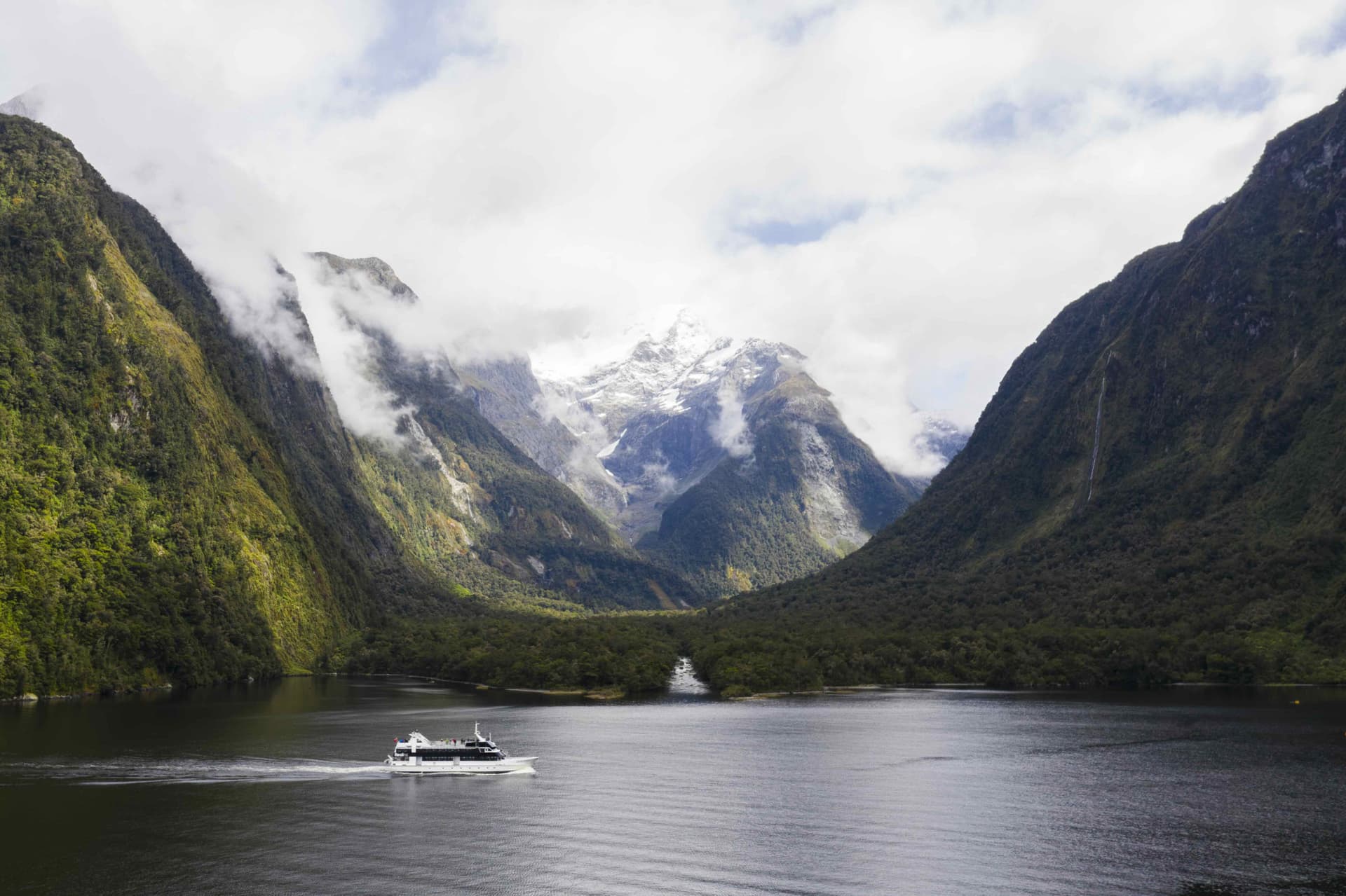 Milford Sound Coach and Cruise from Queenstown - 이미지 3