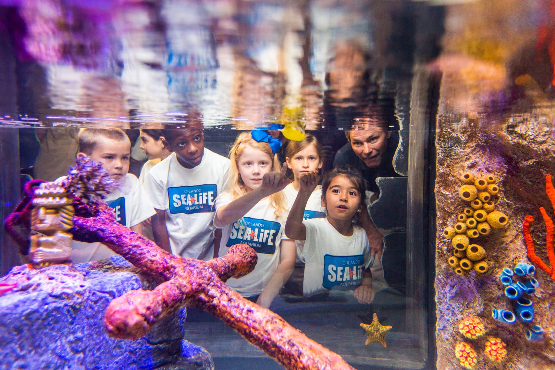 Go City Orlando All-Inclusive Pass: Save up to 50% on Attractions - imagen 25