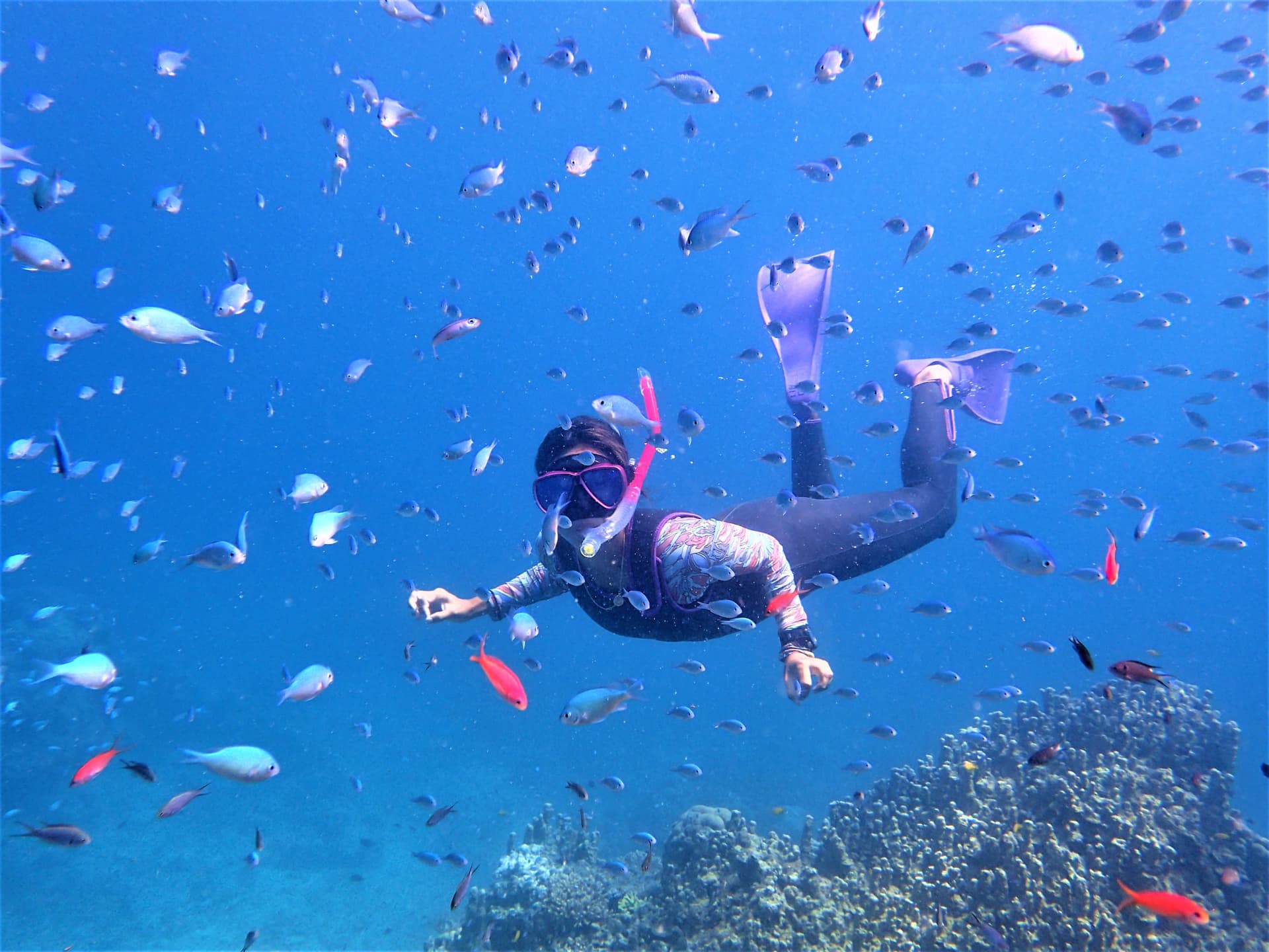 Half-Day Morning Snorkeling Tour with Phantom Island Visit - image 4