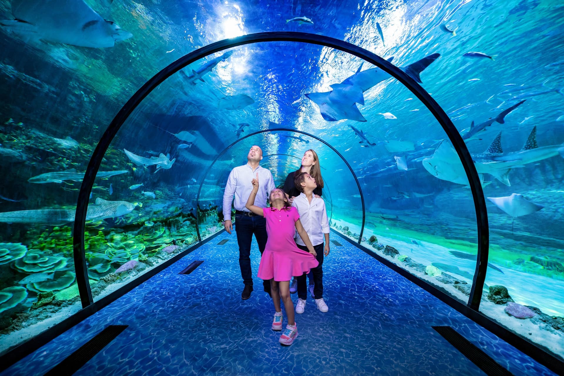 Entrada al National Aquarium Abu Dhabi - imagen principal