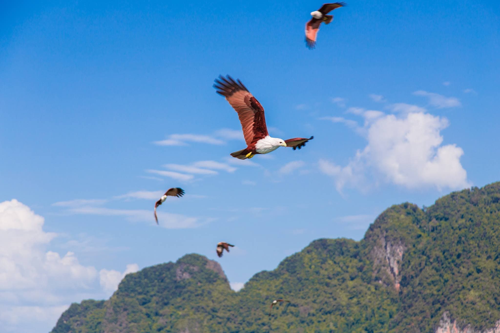 James Bond Island, Phang-Nga Bay, Hong Island, and Khai Island Tour from Phuket - image 6