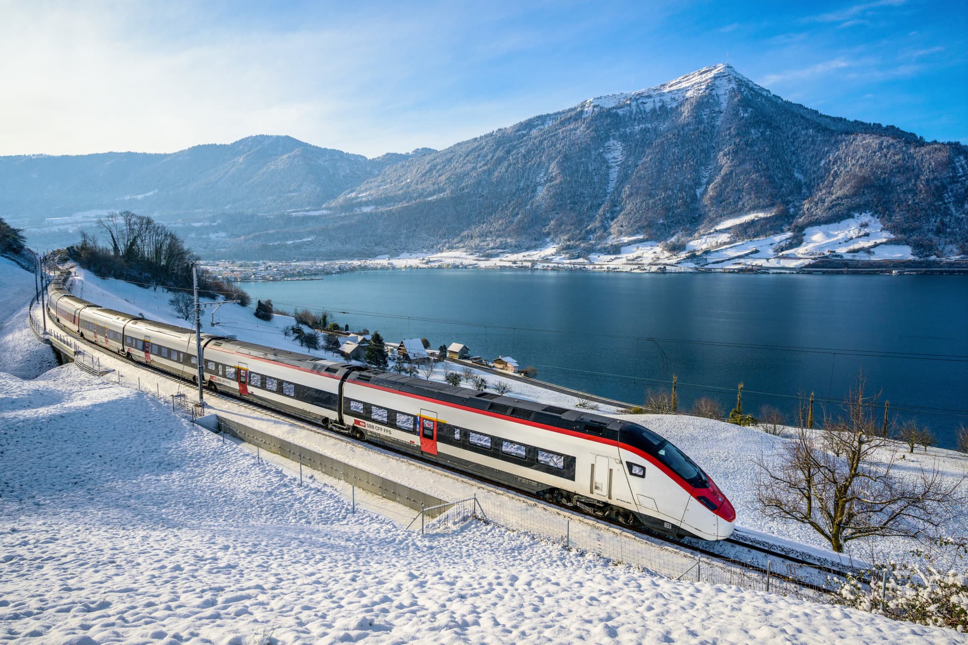 Swiss Travel Pass Flex Family Card (Non-Consecutive Days within One Month) - imagen 2