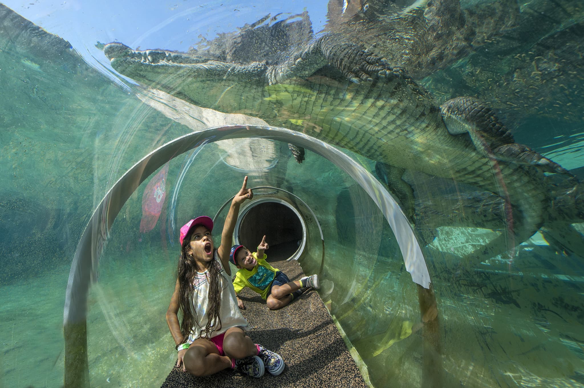 Go City Miami Explorer Pass: Save up to 50% on Attractions - image 11