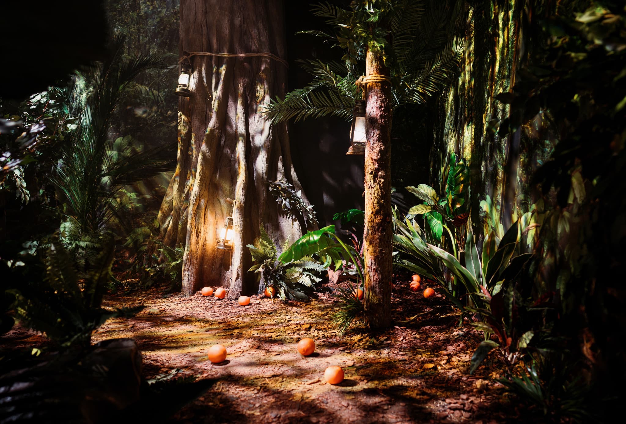 The Paddington Bear Experience - image 4