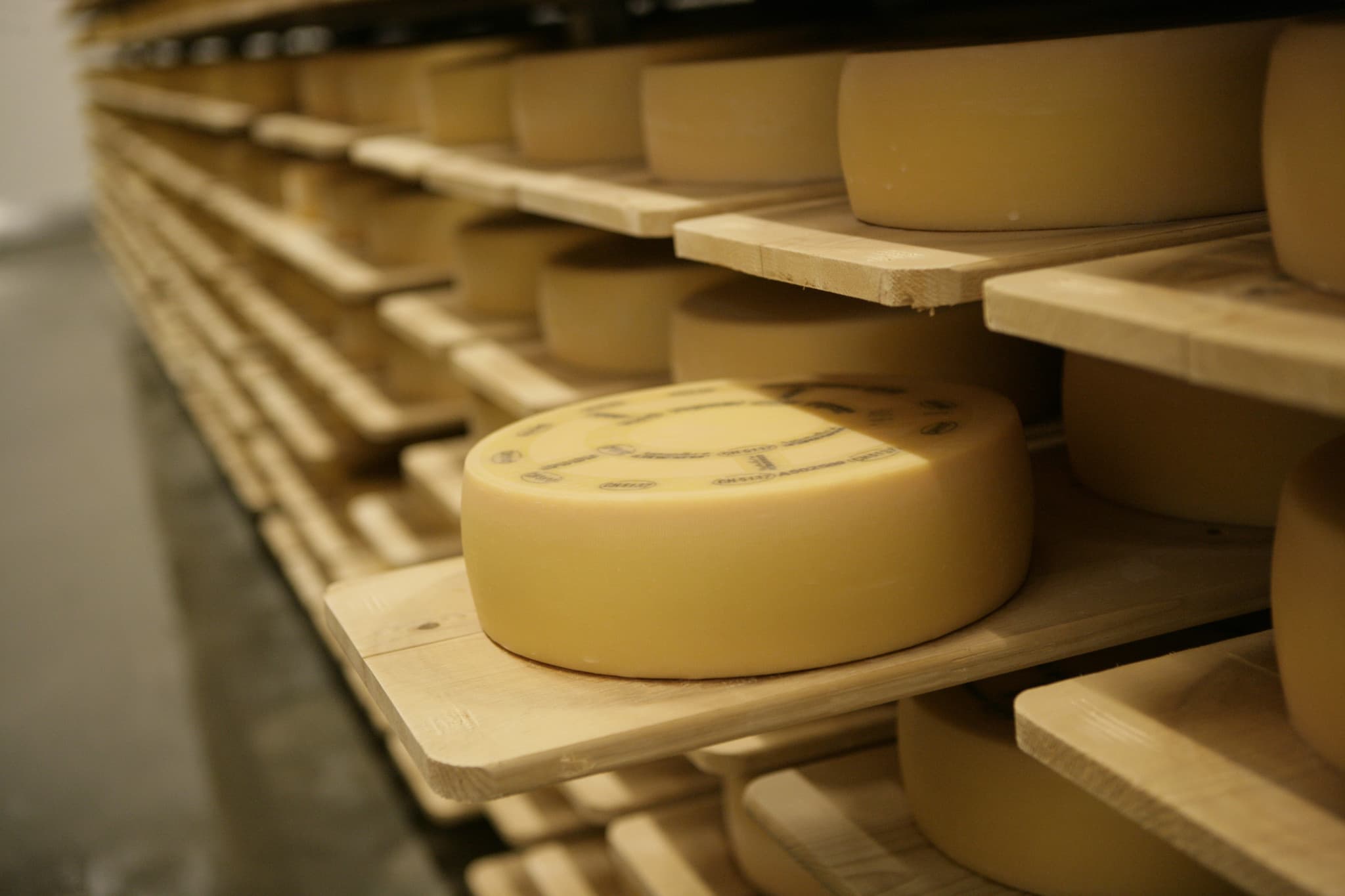Appenzell Tour from Zurich with Cheese and Chocolate Tasting - image 2
