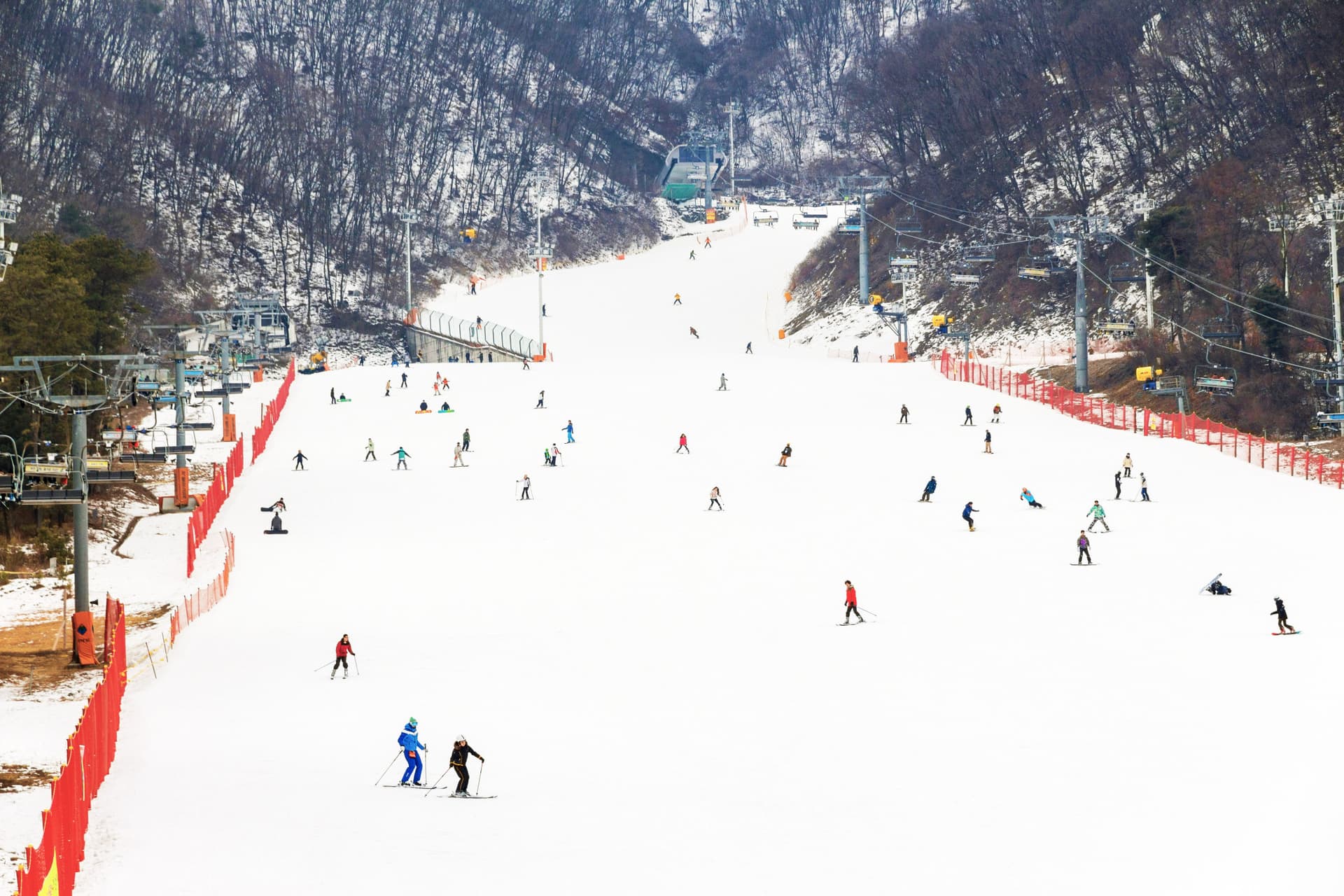 Jisan Forest Ski Resort Full-Day Tour from Seoul - imagen principal