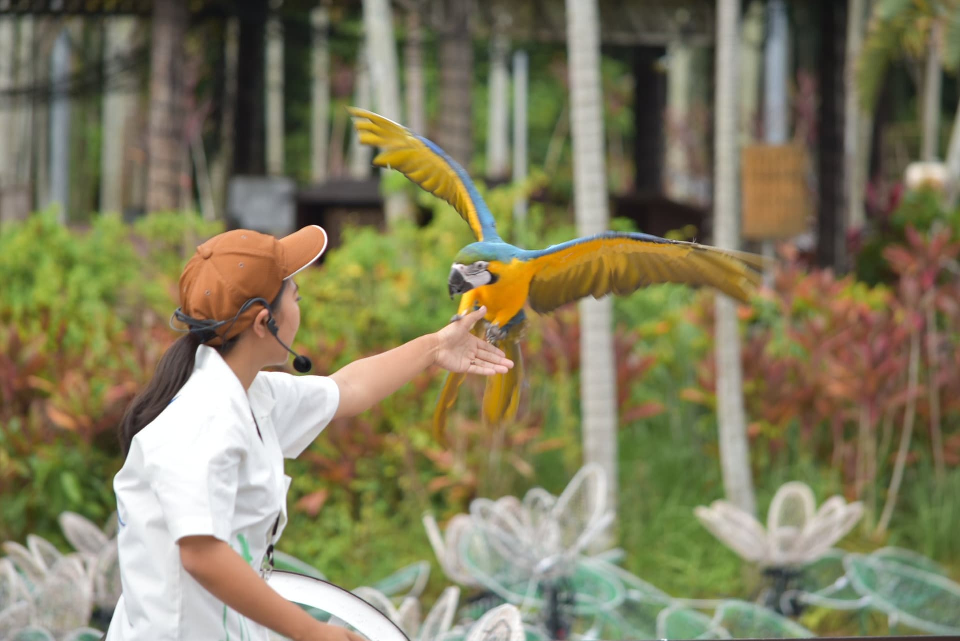Okinawa Southeast Botanical Gardens - image 35