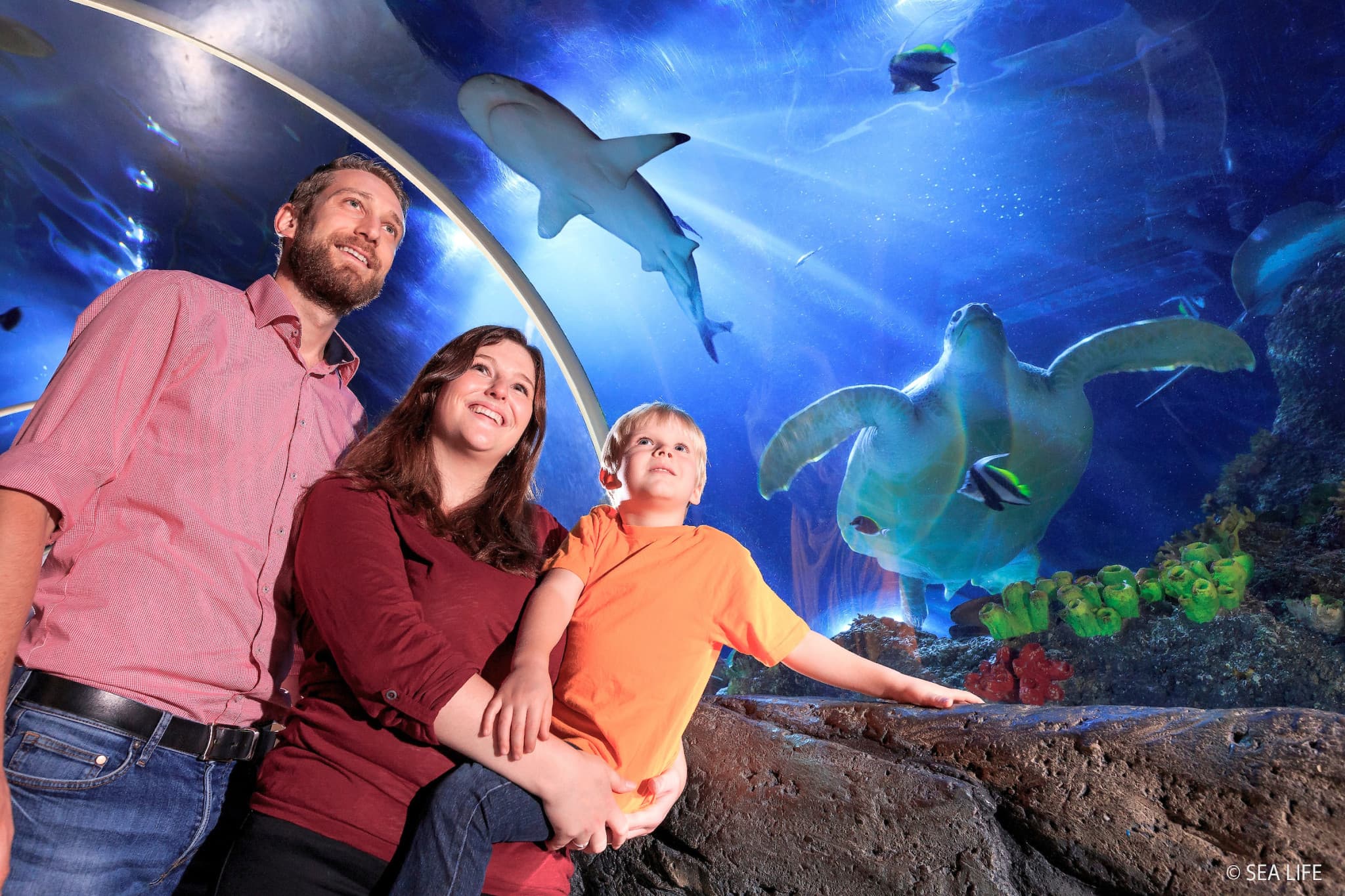 SEA LIFE Konstanz Aquarium Ticket - main image