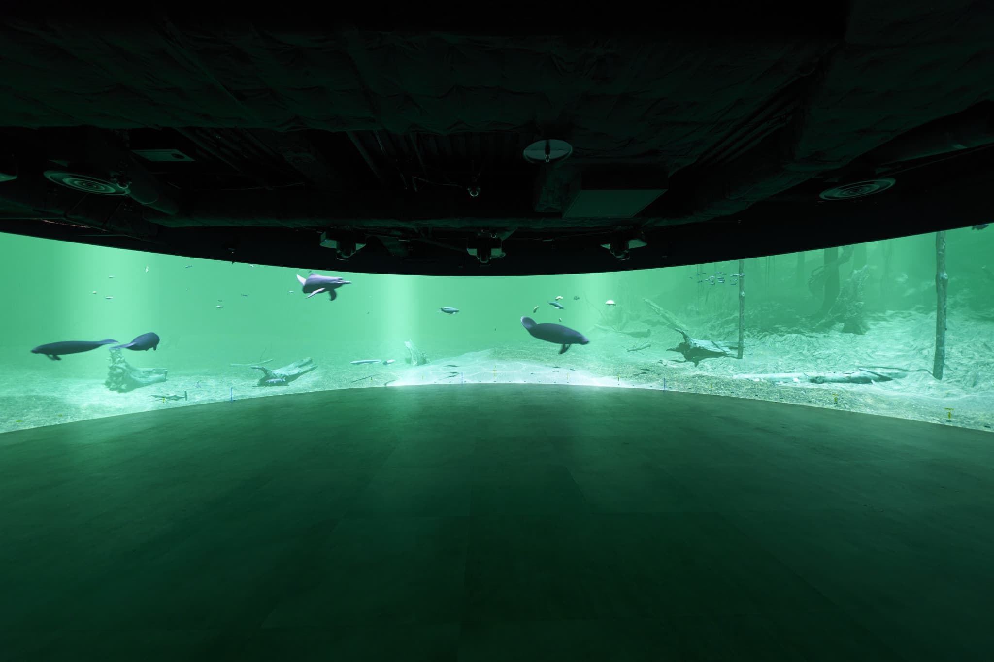 Kawasaki Aquarium Ticket - image 10