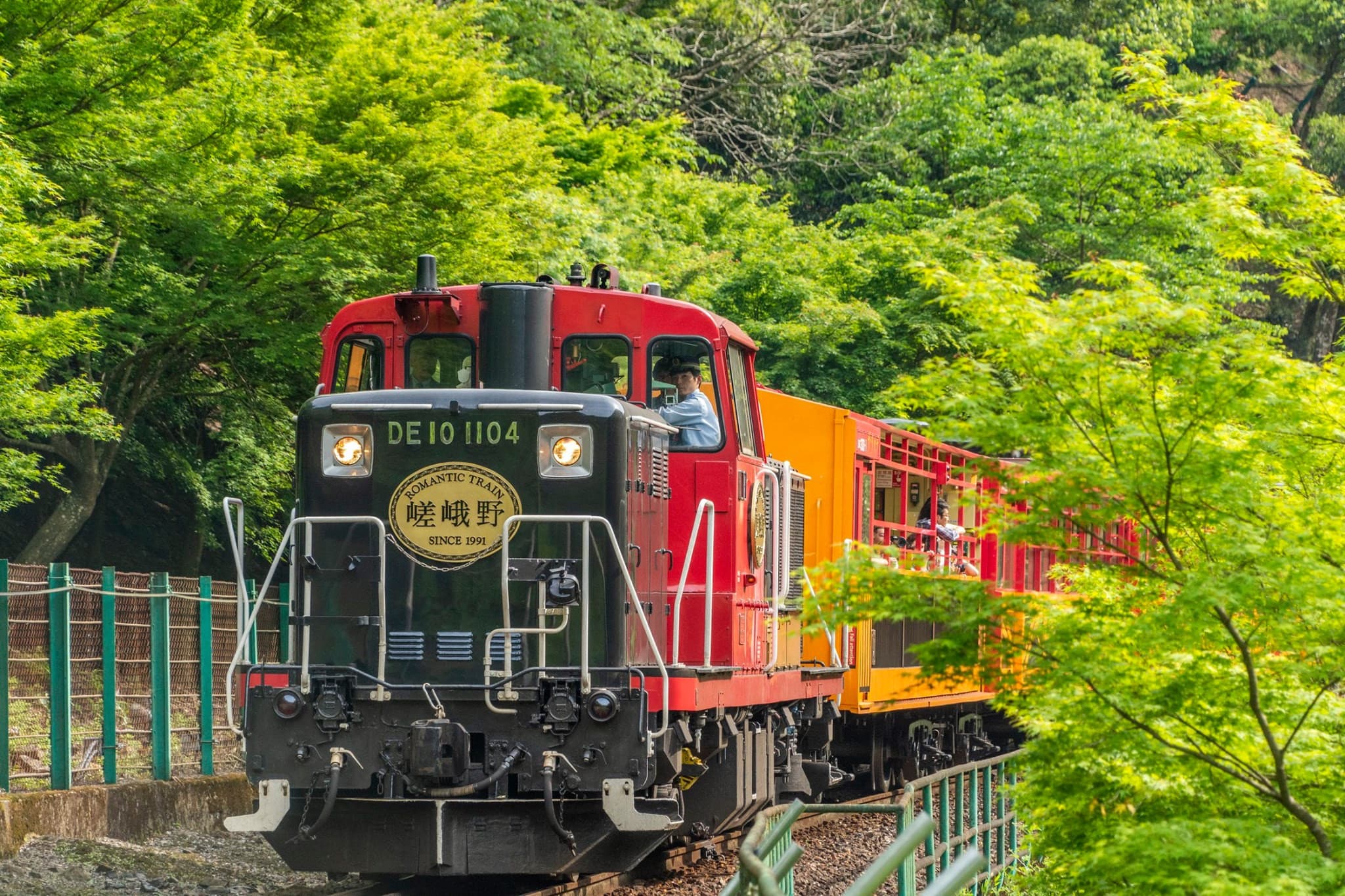 Sagano Romantic Train - image 11