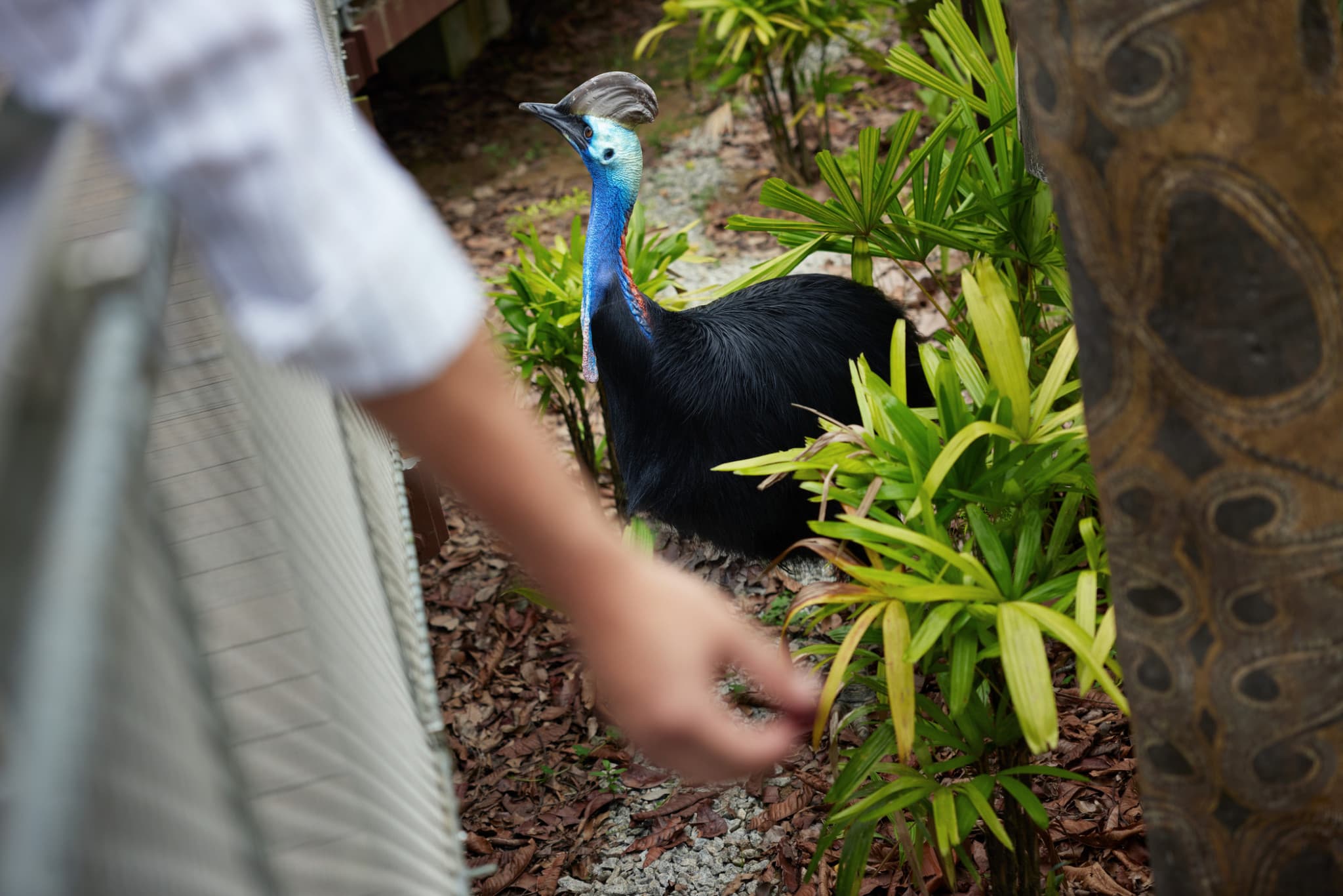 COMBO: River Wonders + Bird Paradise Ticket - image 14