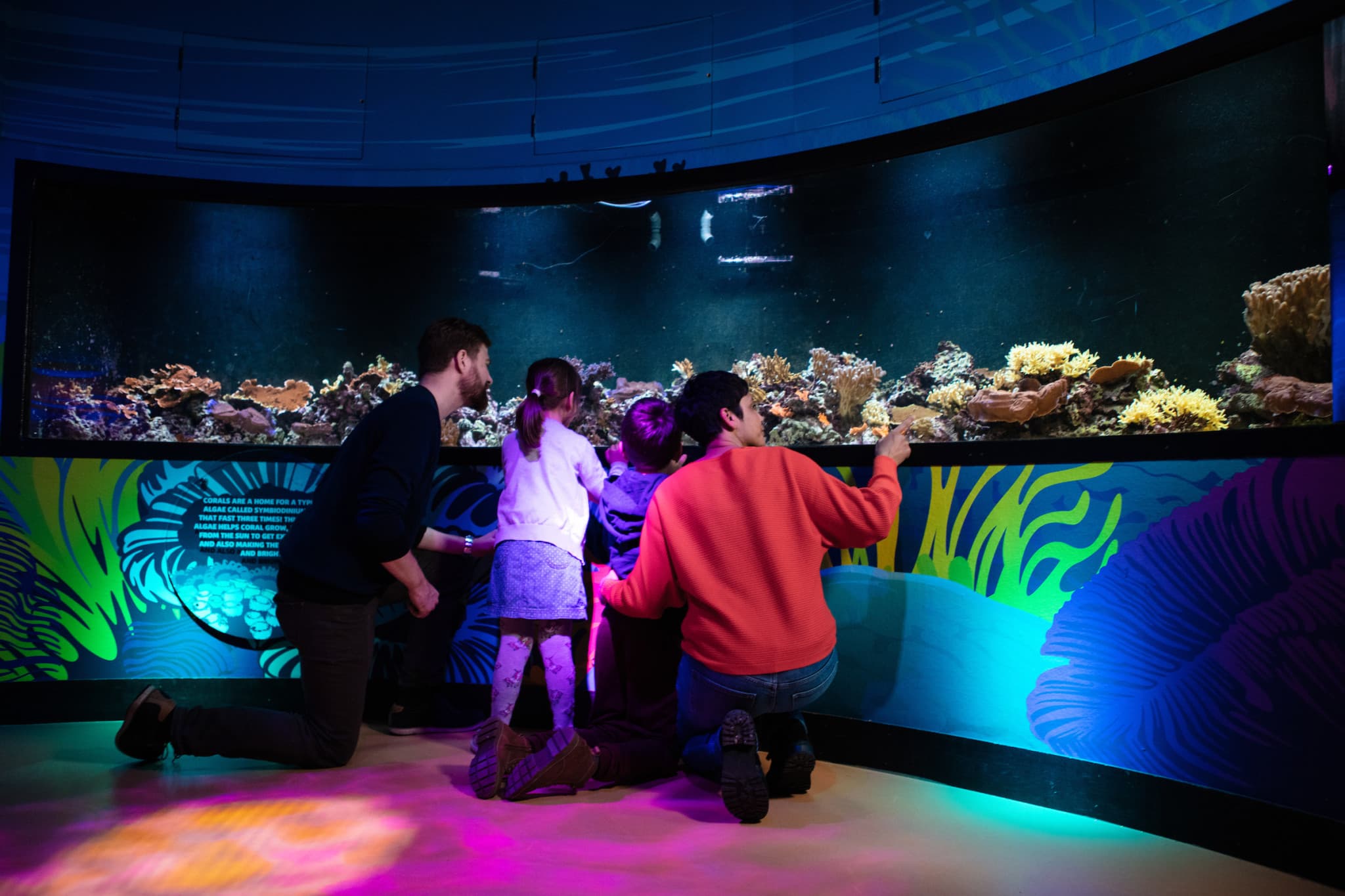 COMBO: Madame Tussauds London + SEA LIFE London Aquarium Ticket - image 10