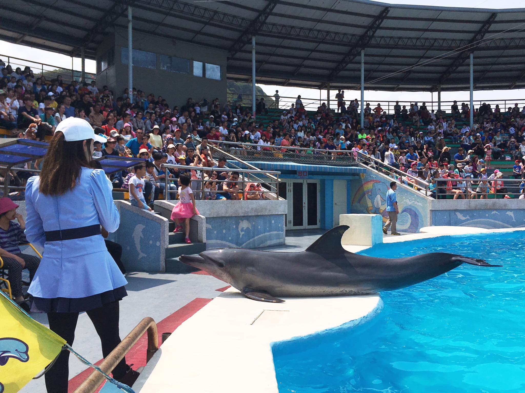 Yehliu Ocean World - image 6
