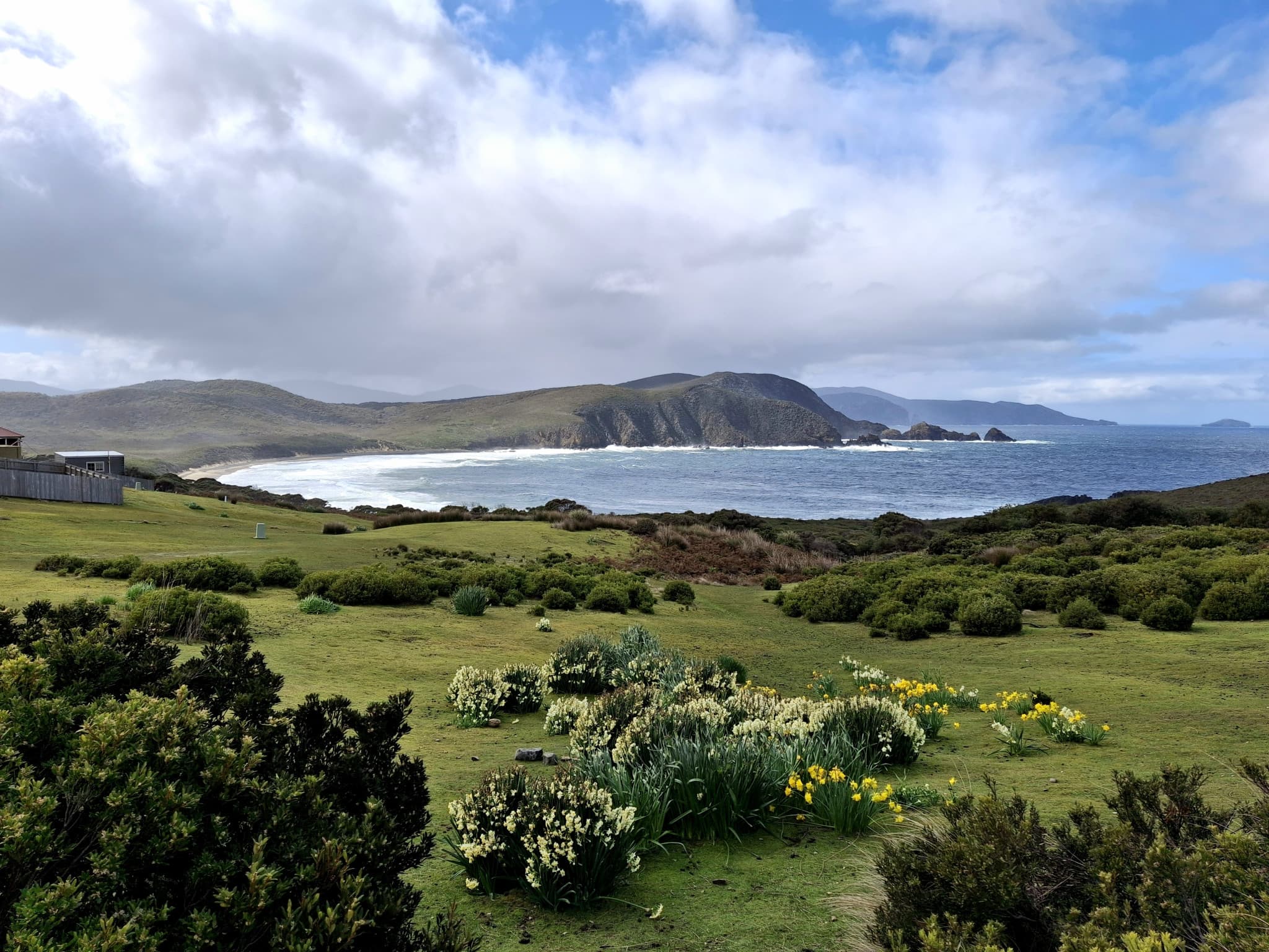 From Hobart | Bruny Island Food, Sightseeing and Lighthouse Tour - image 4