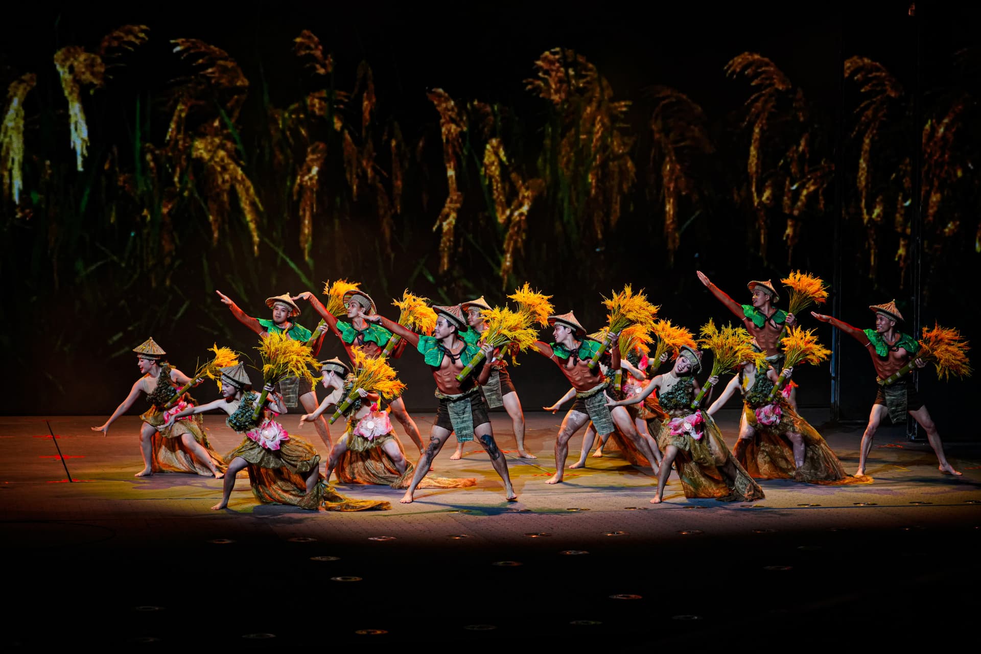 Boleto para The Grand Epic of Vietnam (Đất Nước Thiên Hùng Ca) - imagen 3
