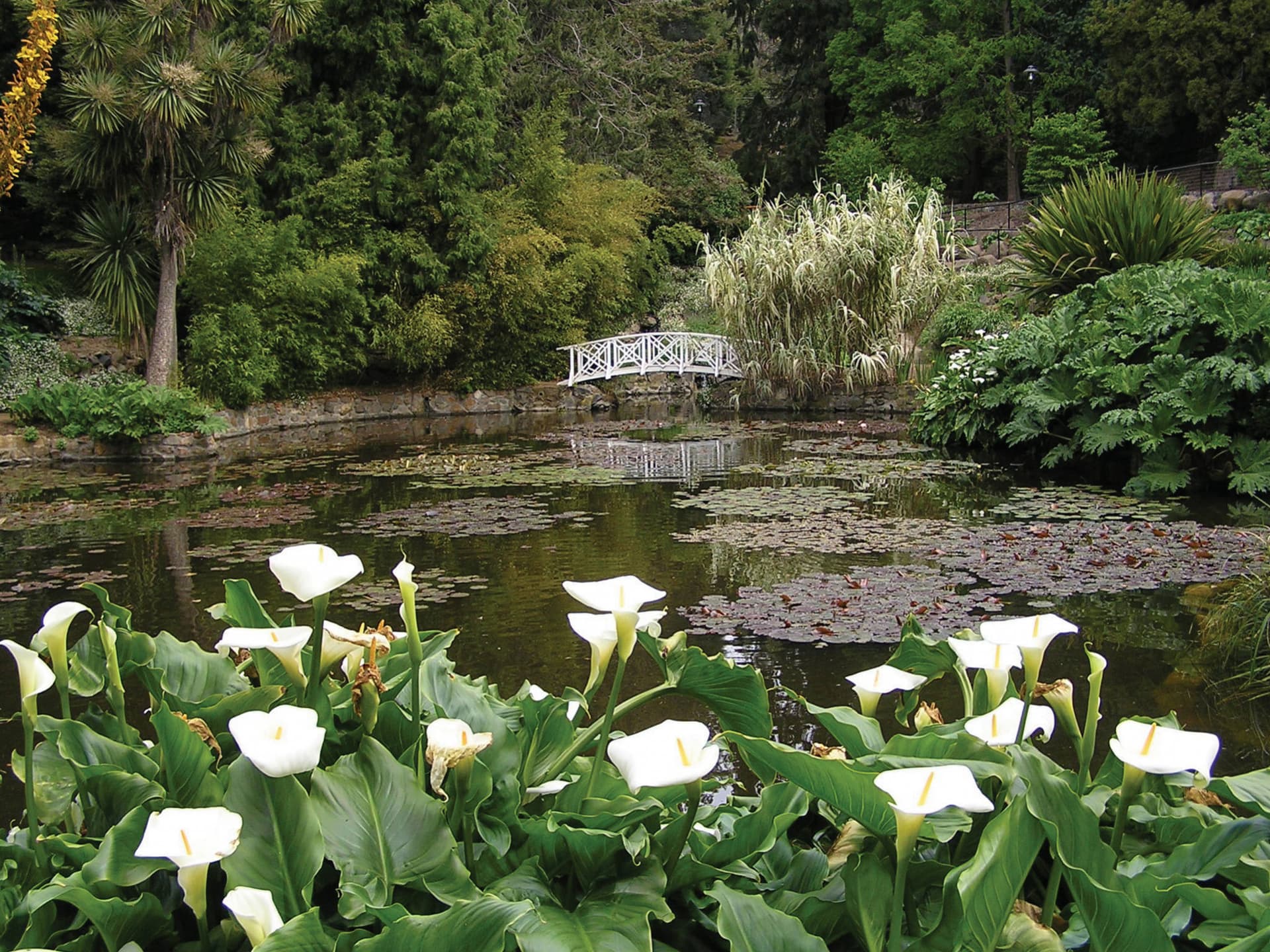 Sullivan's Cove and Hobart City Tour - imagen 3