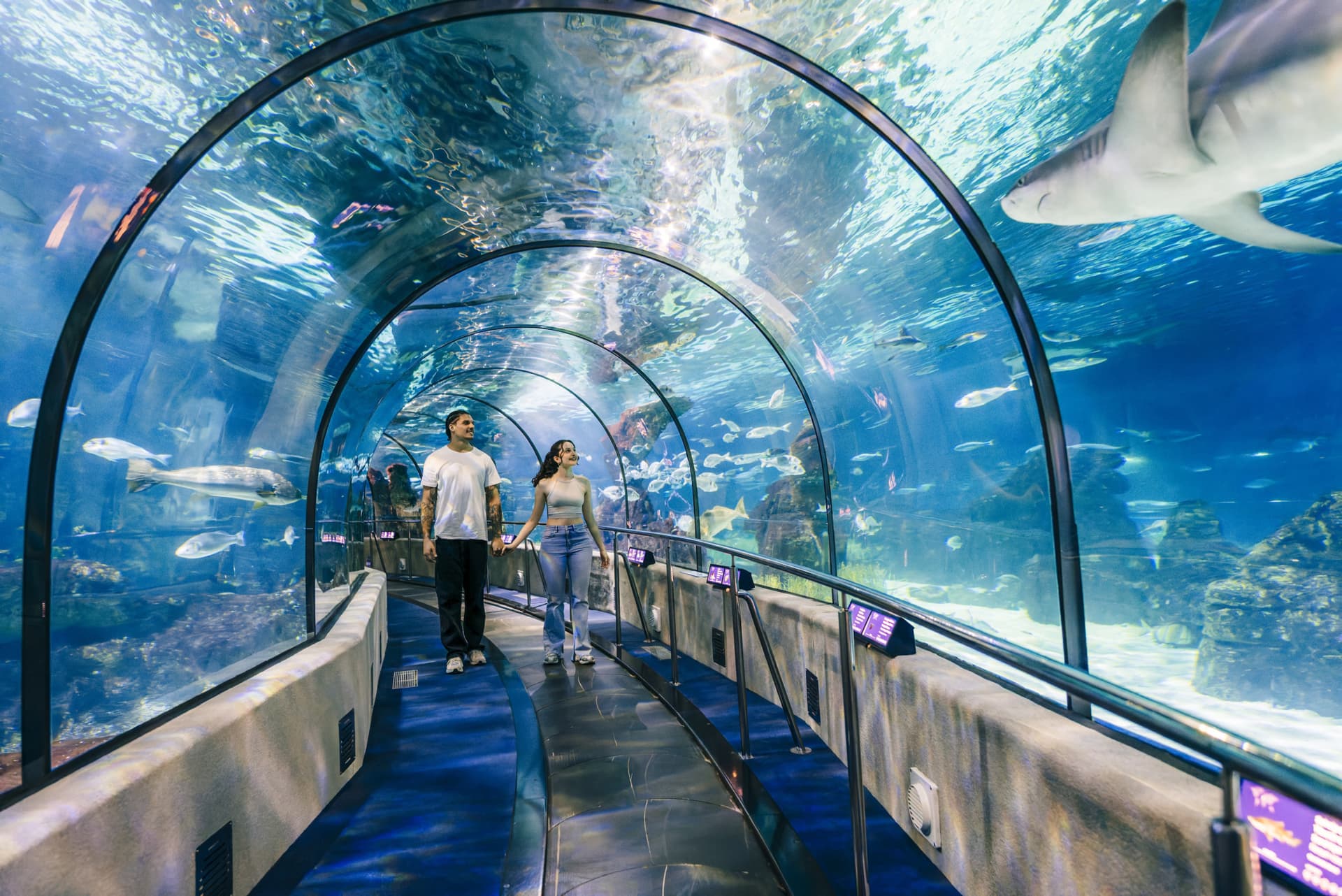 Barcelona Aquarium Ticket - image 4