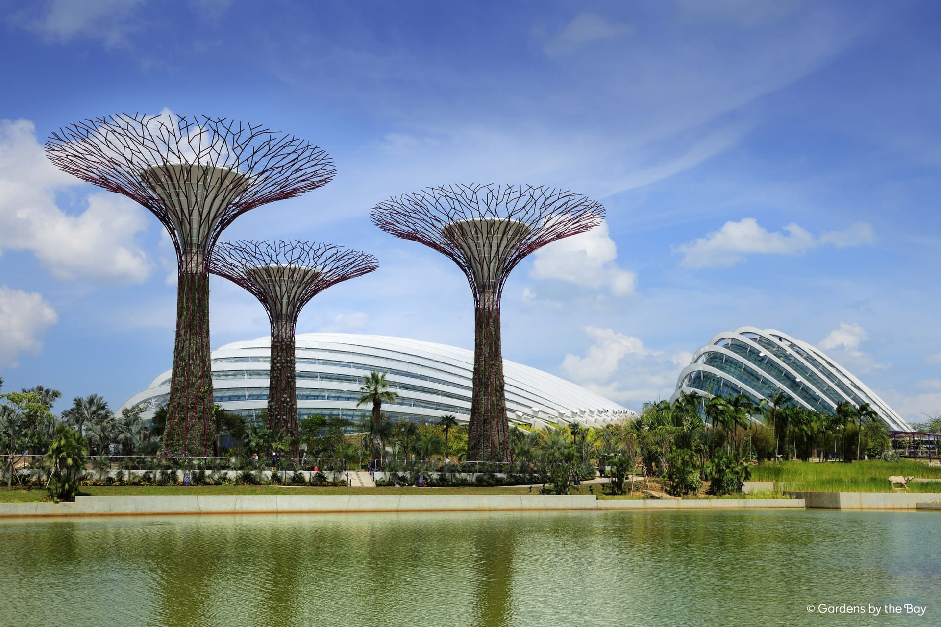Entrada a Gardens by the Bay - imagen 13