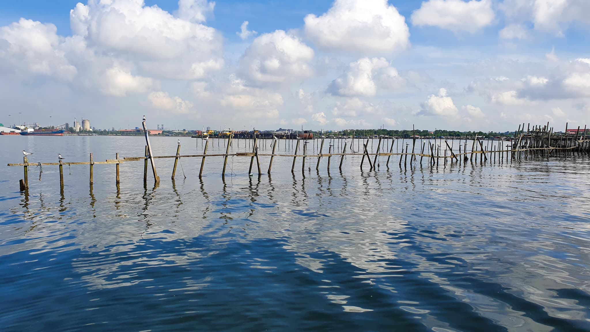 Kelong and Pulau Ubin Boat Tour - image 4