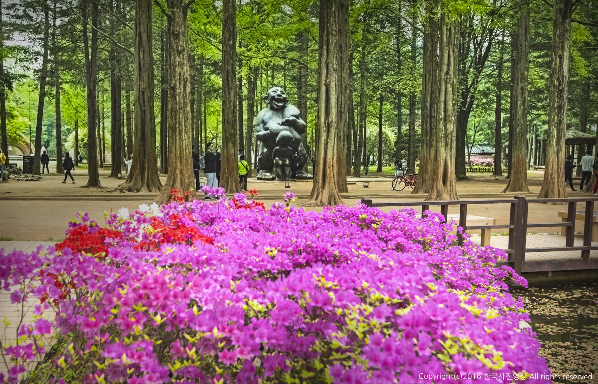 Nami Island, Petite France, and Italian Village Tour from Seoul - 대표 이미지