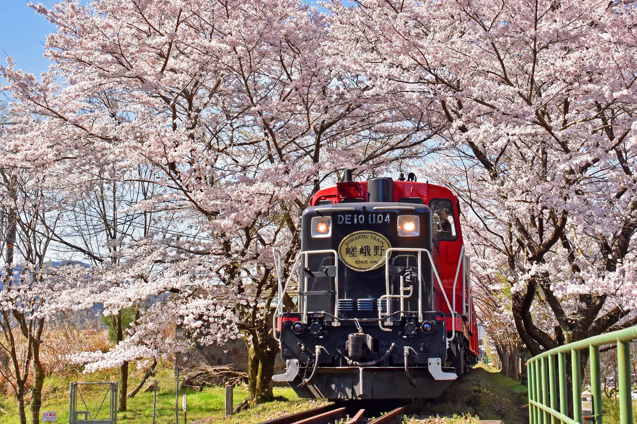 Sagano Romantic Train - image 13