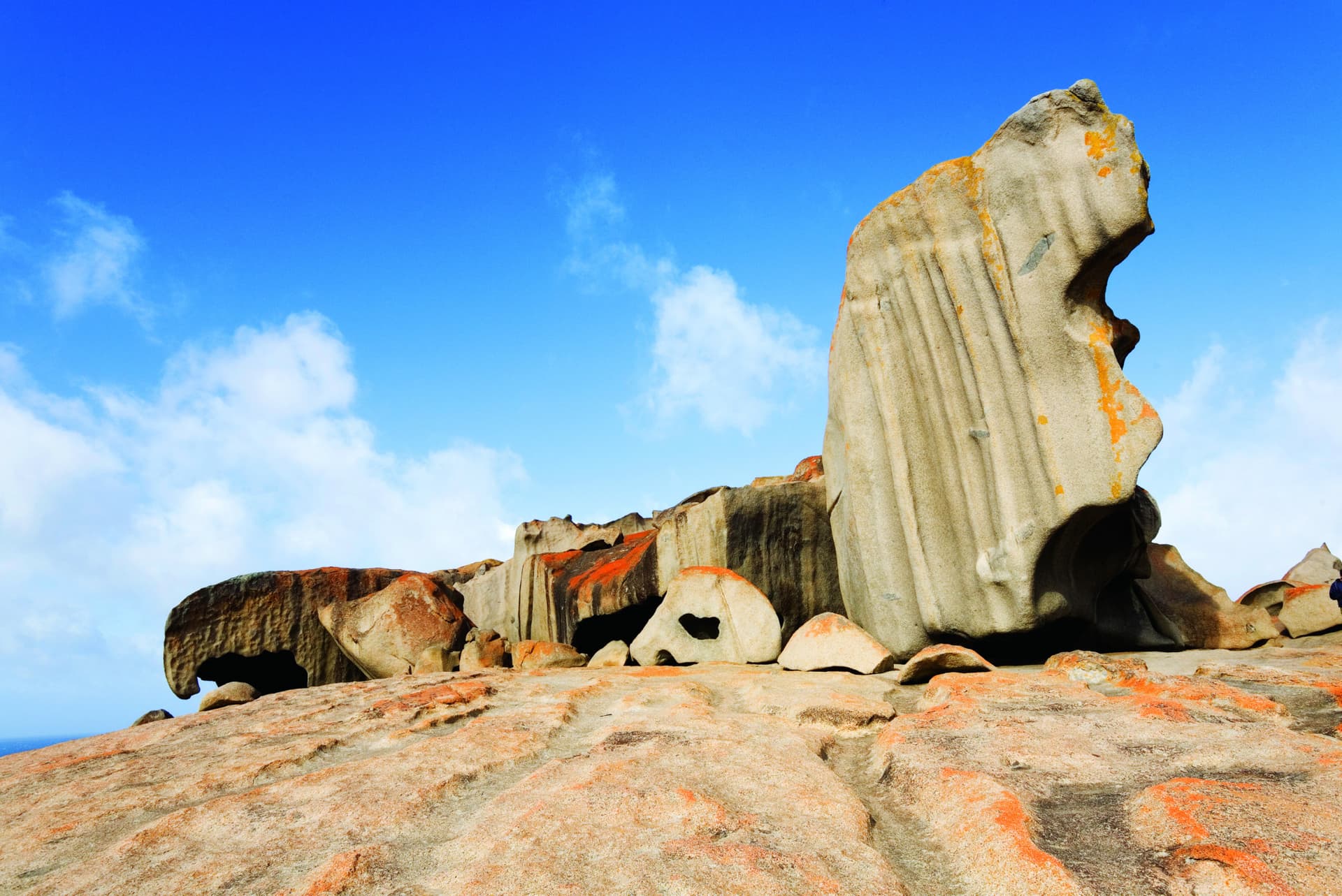 Kangaroo Island Tour from Adelaide - imagen 7