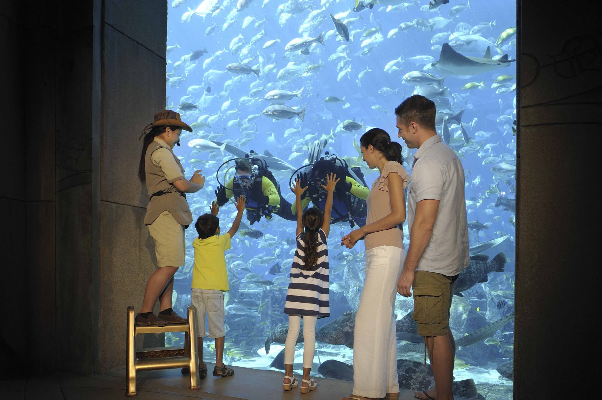 Atlantis Aquaventure World Dubai - The Lost World Aquarium Ticket - image 10