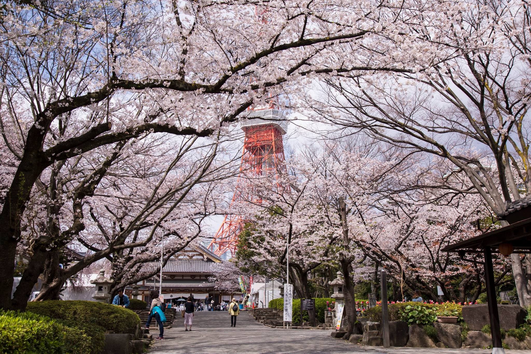 Tokyo Tower Ticket - image 3