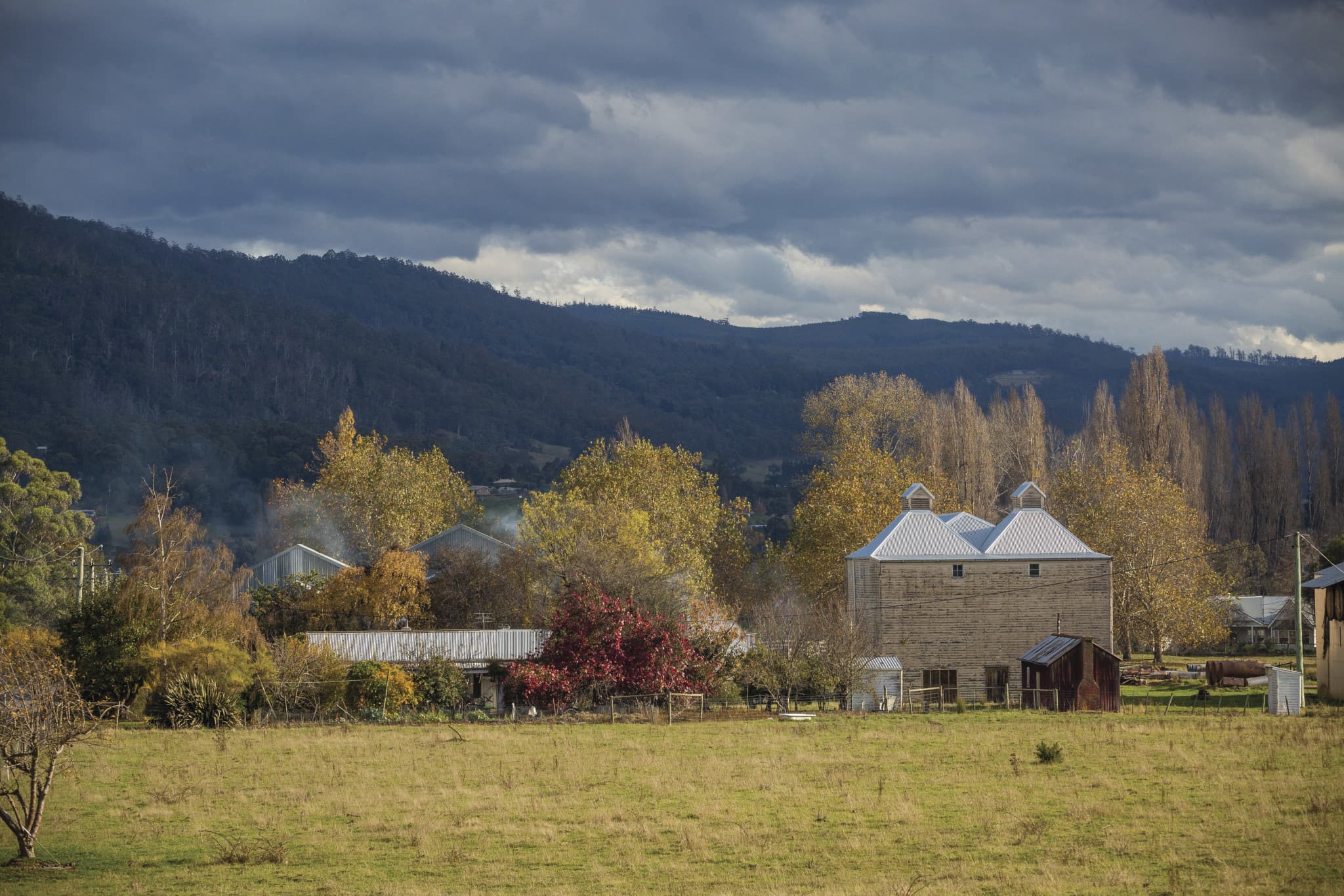 Huon Valley Tour - image 13