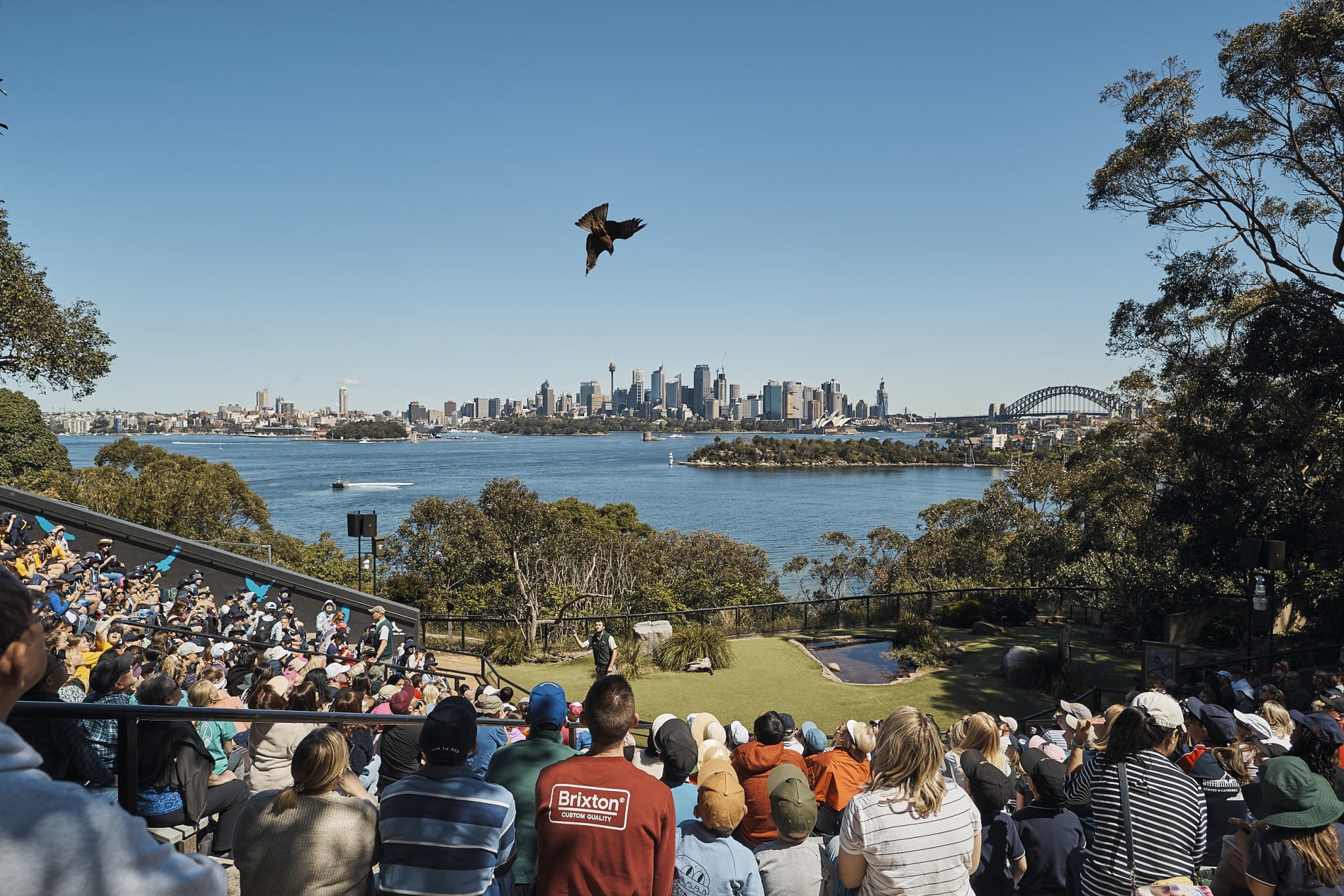 Go City Sydney Essentials Pass: 3 Attractions - image 6