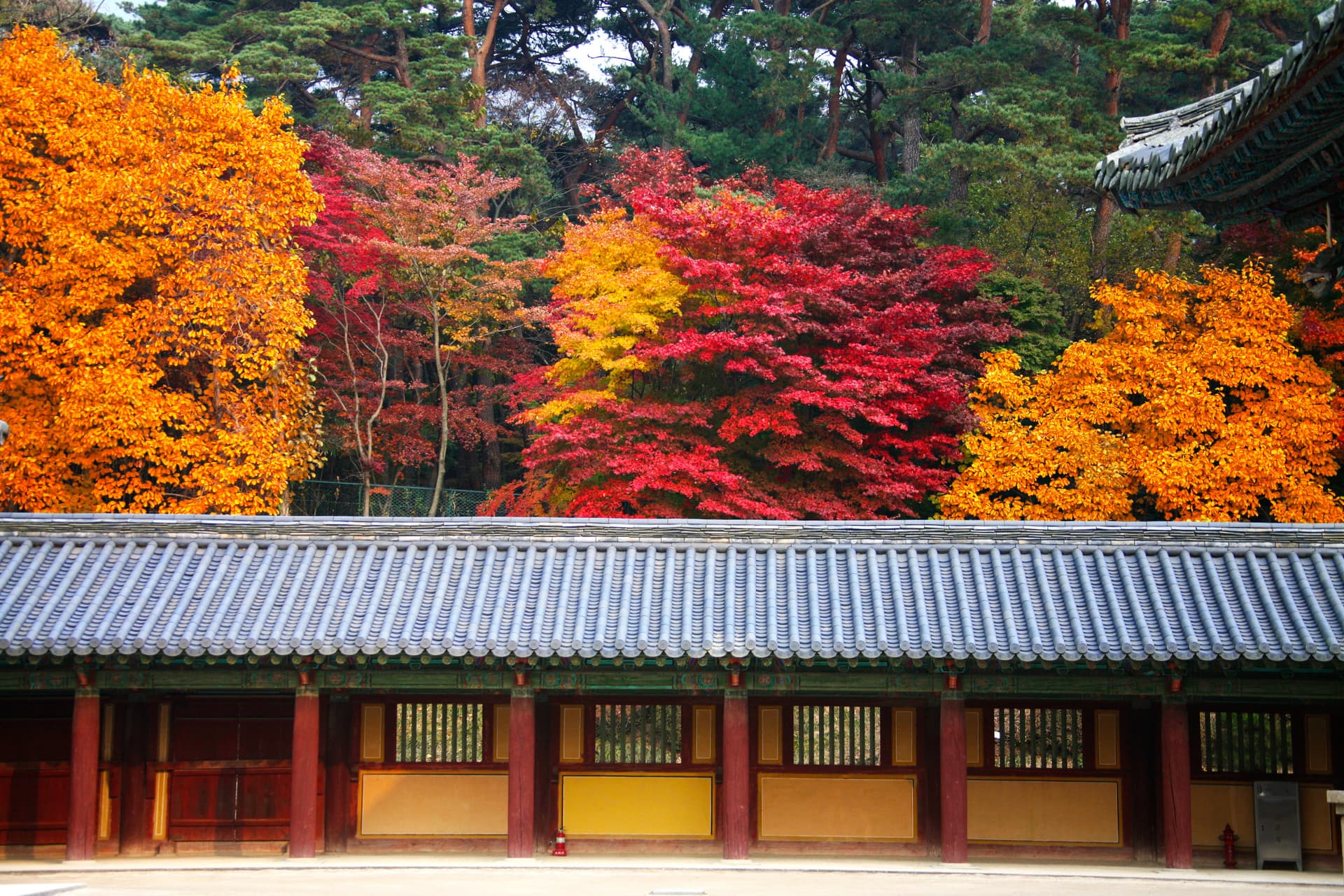 Tour de un día para admirar el follaje otoñal de Gyeongju desde Busan - imagen 9