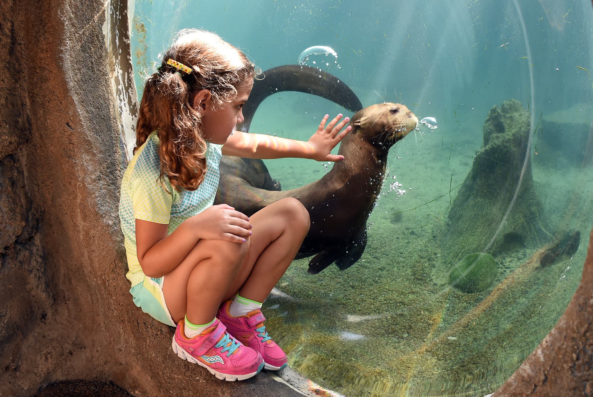 Go City Miami Essentials Pass: 3 Attractions - image 7