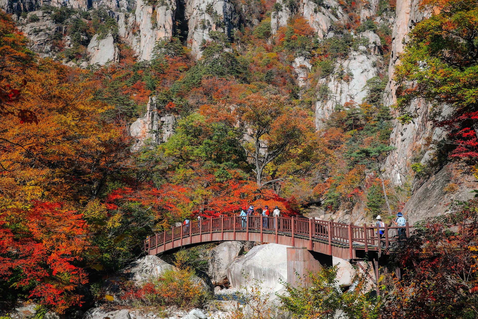 Nami Island and Mount Seorak Full-Day Tour from Seoul - imagen principal
