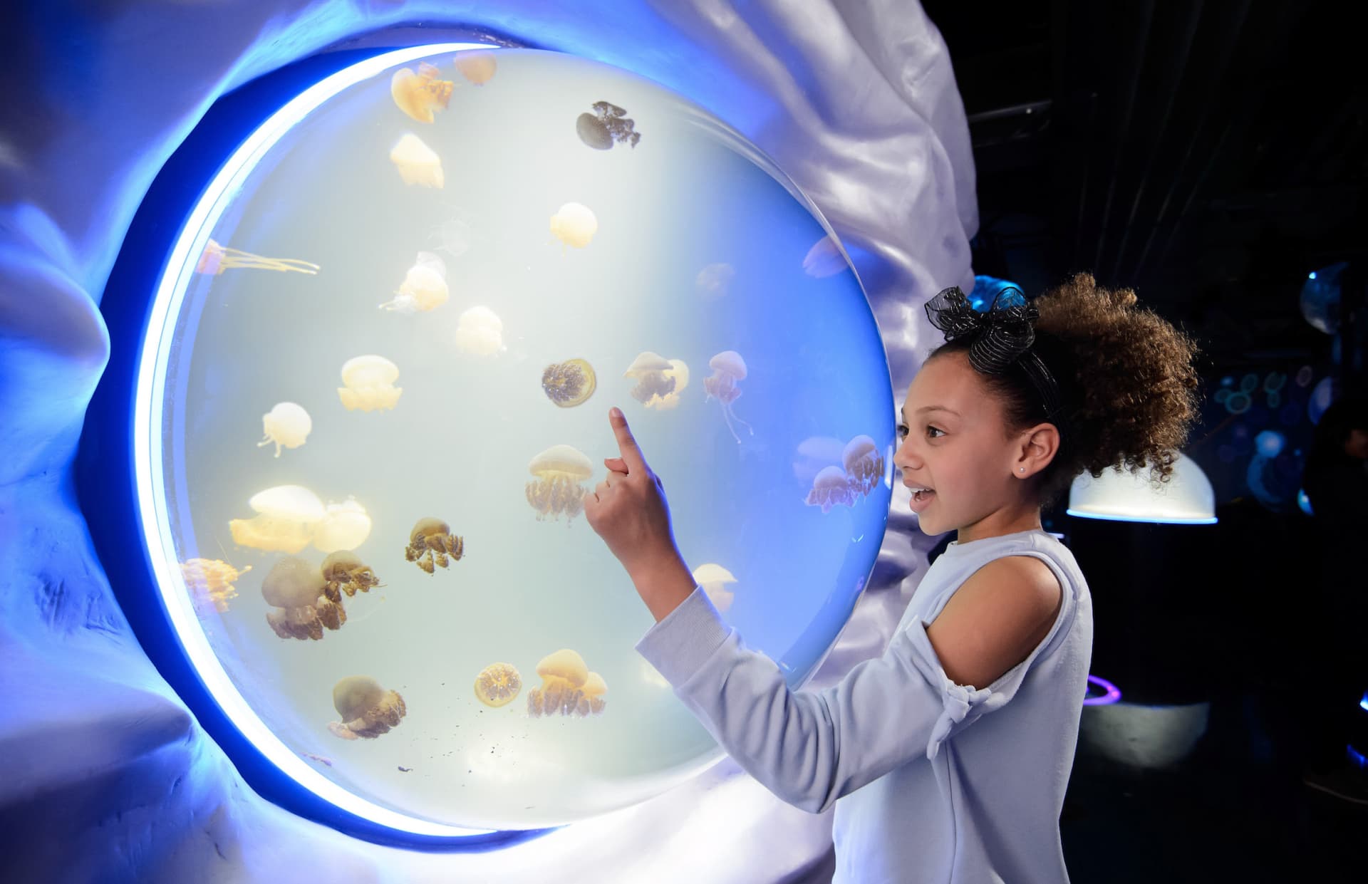 COMBO: London Eye + SEA LIFE London Aquarium Ticket - image 14