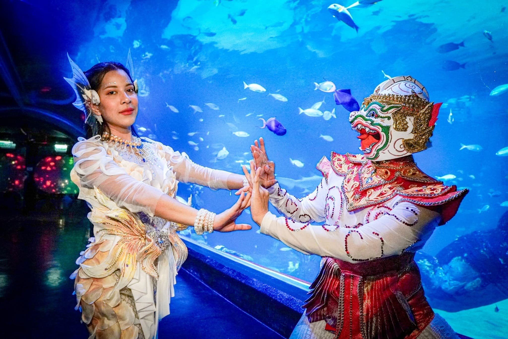 Aquaria Phuket - image 12